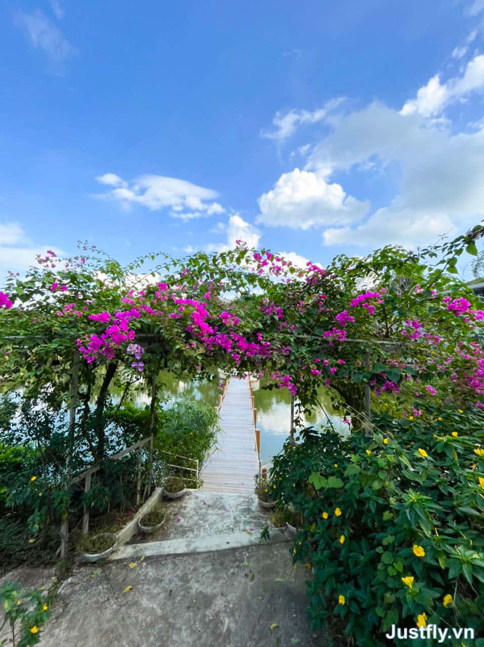 QVilla 10, Ba Vì () — ảnh 8