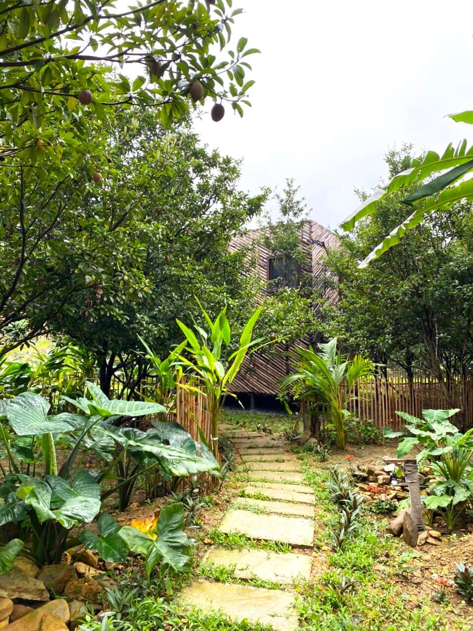 Nhà X (Xiem Homestay) tại Minh Trí, Sóc Sơn — ảnh 13