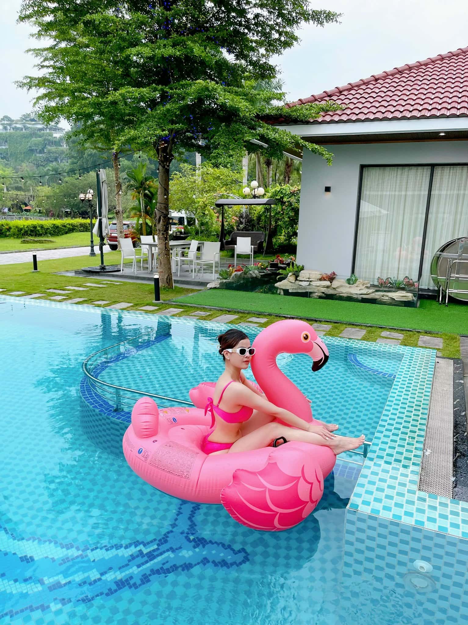 tuyet vinh 2406 b24 flamingo 