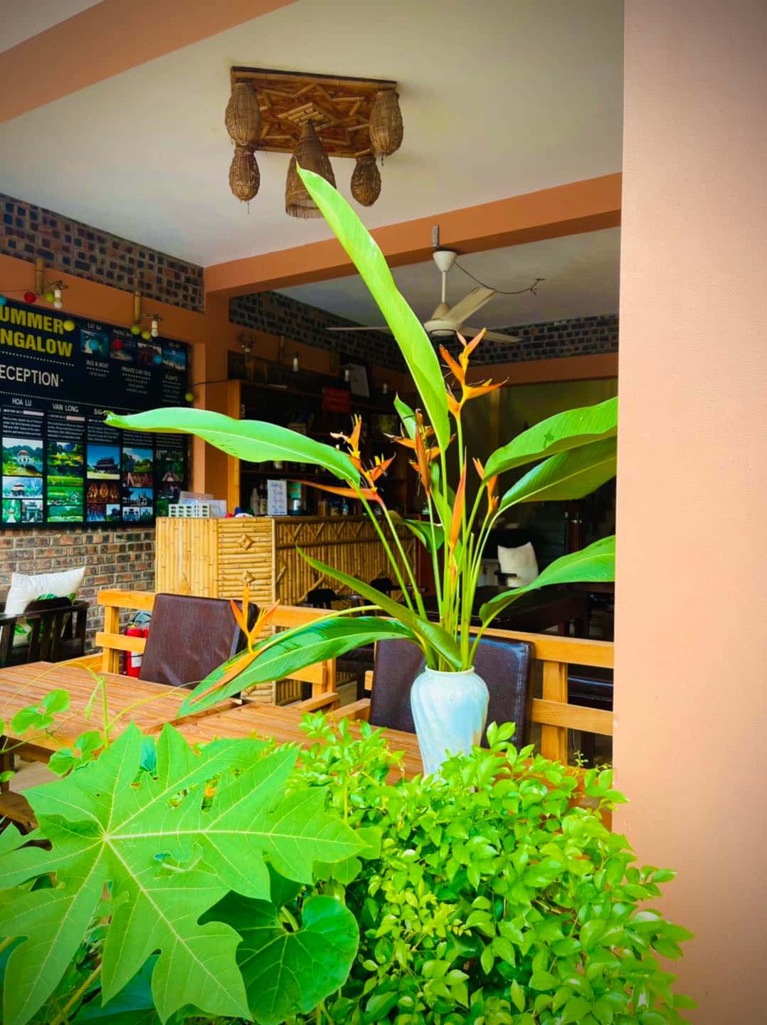 justfly tam coc summer bungalow ninh binh