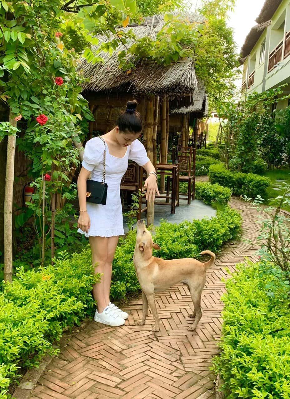 justfly nan house ninh binh