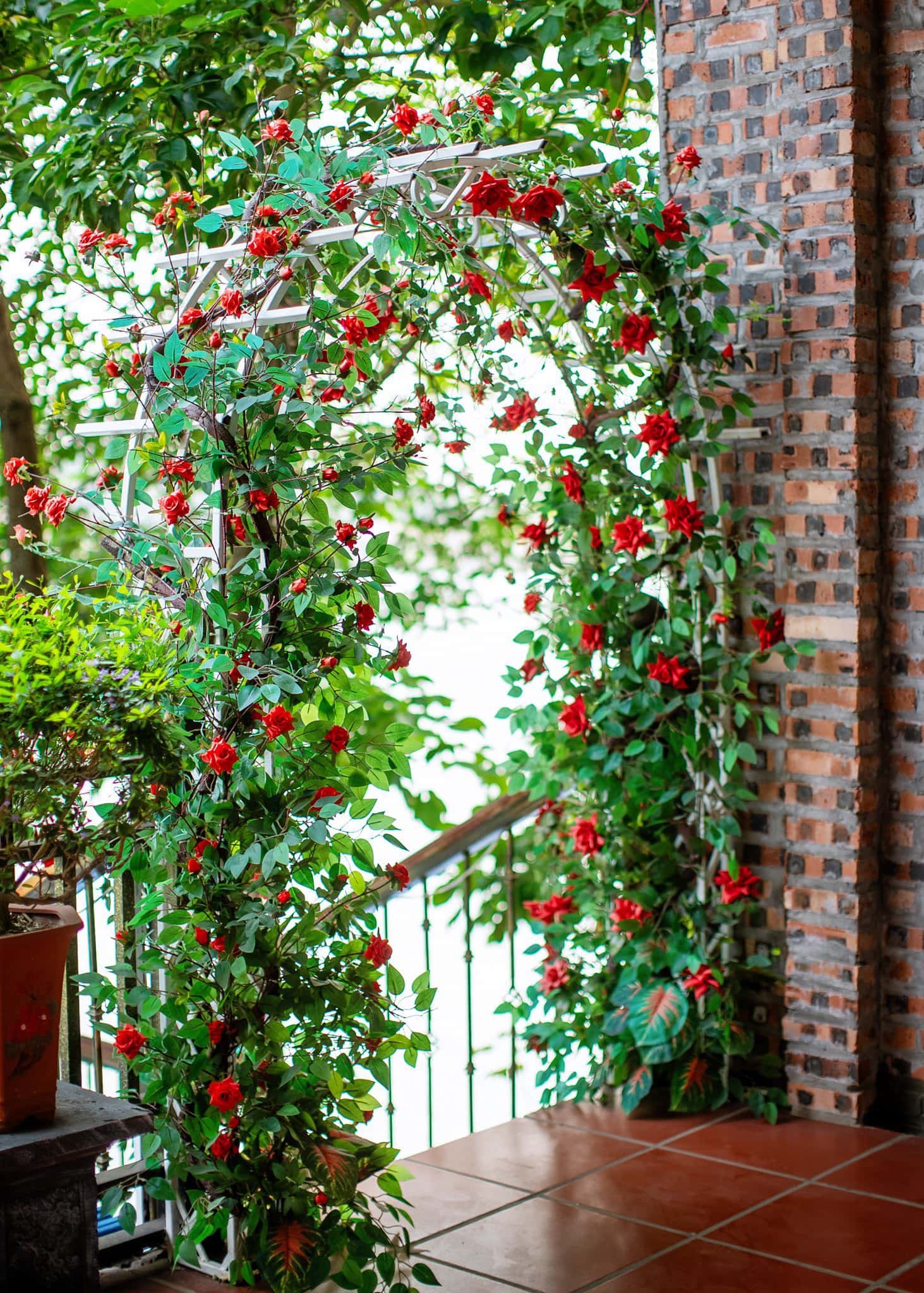 Khu A (Minh Tân Villa) tại hồ Đồng Đò, Sóc Sơn — ảnh 18