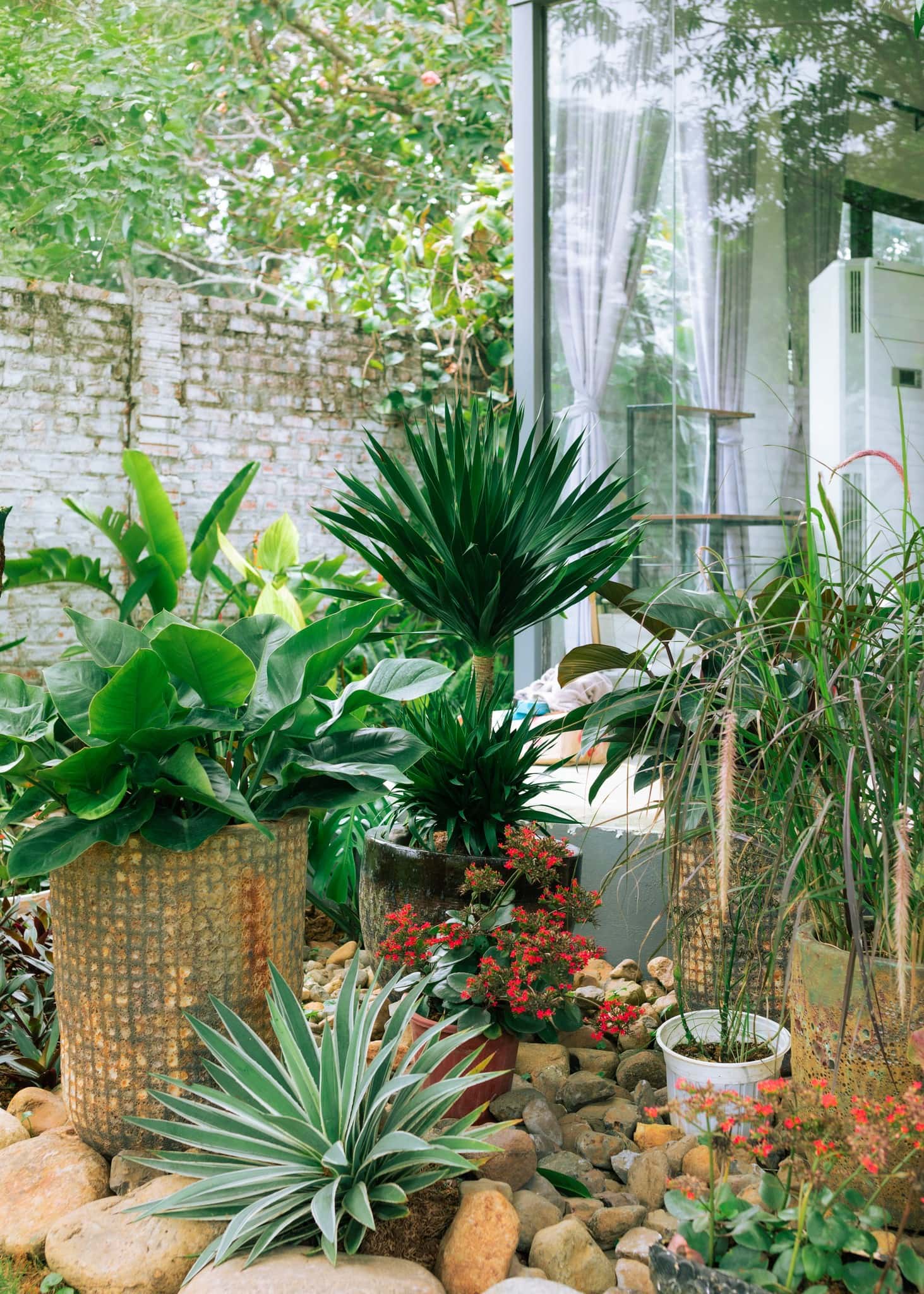 位于Yên Bài、Ba Vì的Ole Homestay — 照片 12