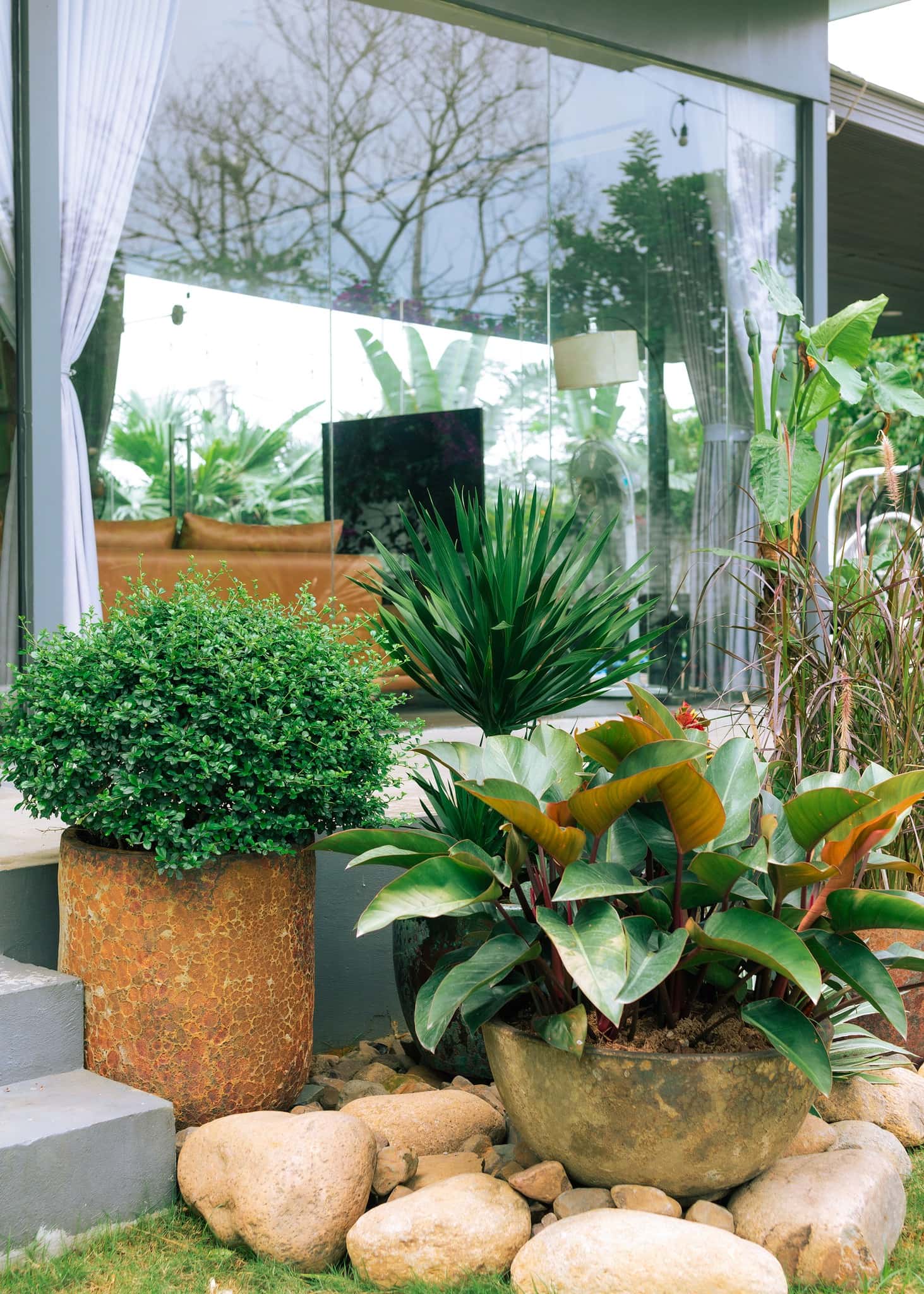 位于Yên Bài、Ba Vì的Ole Homestay — 照片 13