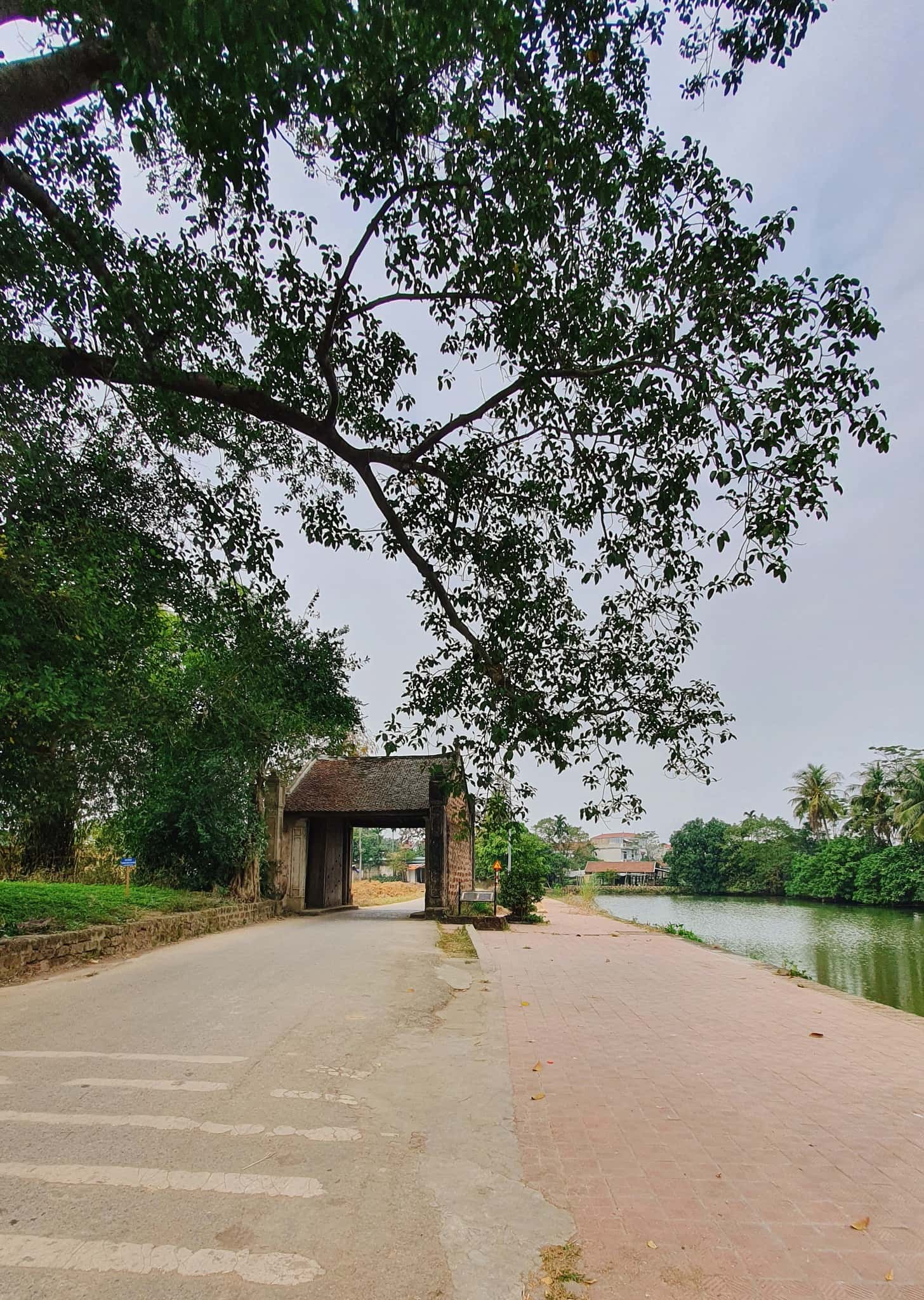 lang co duong lam son tay dia diem du lich ha noi atthan82