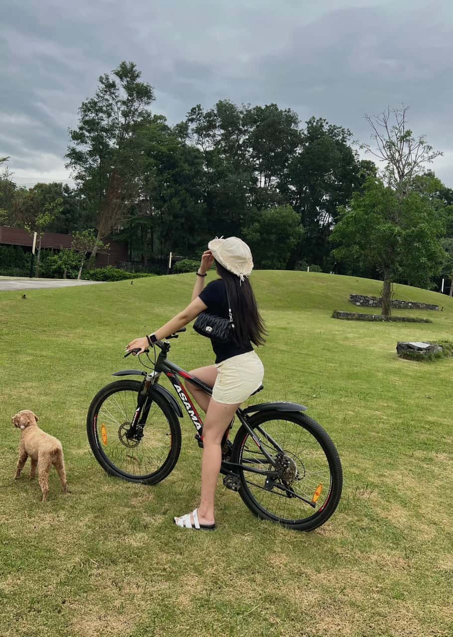 Bicycles