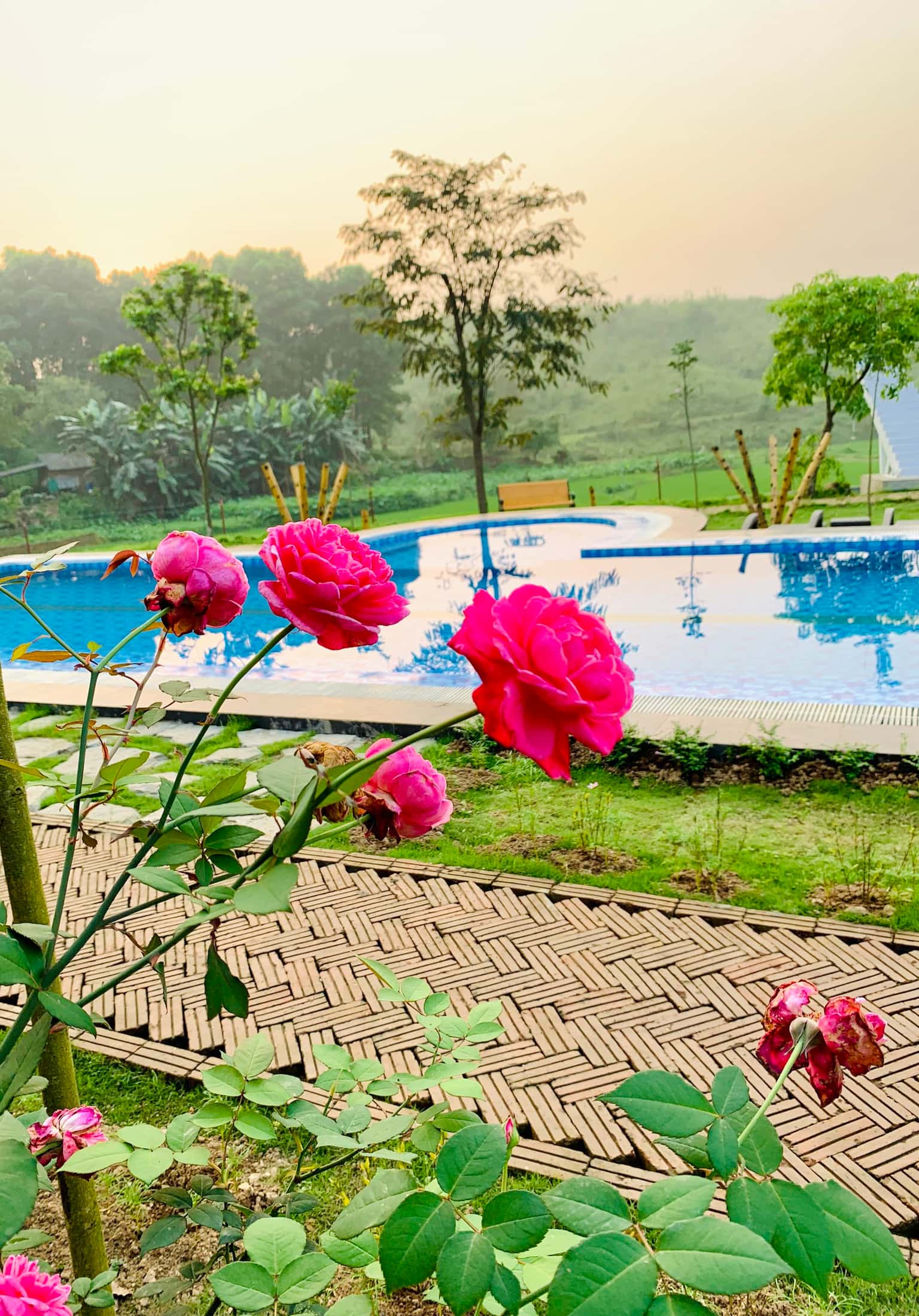justfly khuon vien hoa ban homestay hoa binh