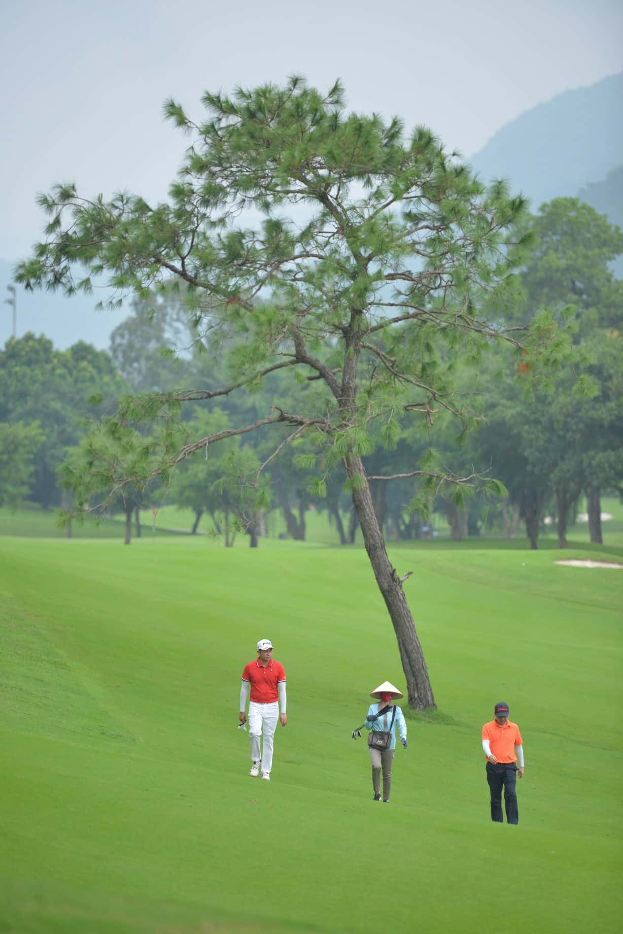 san golf tam dao vinh phuc