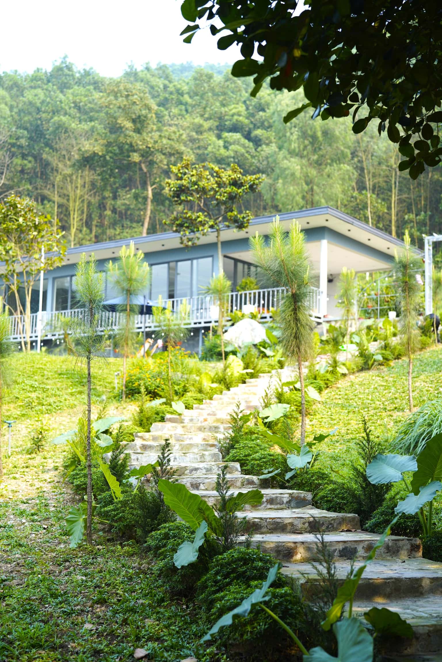 位于Nam Sơn, Sóc Sơn的Dứa House — 照片 8