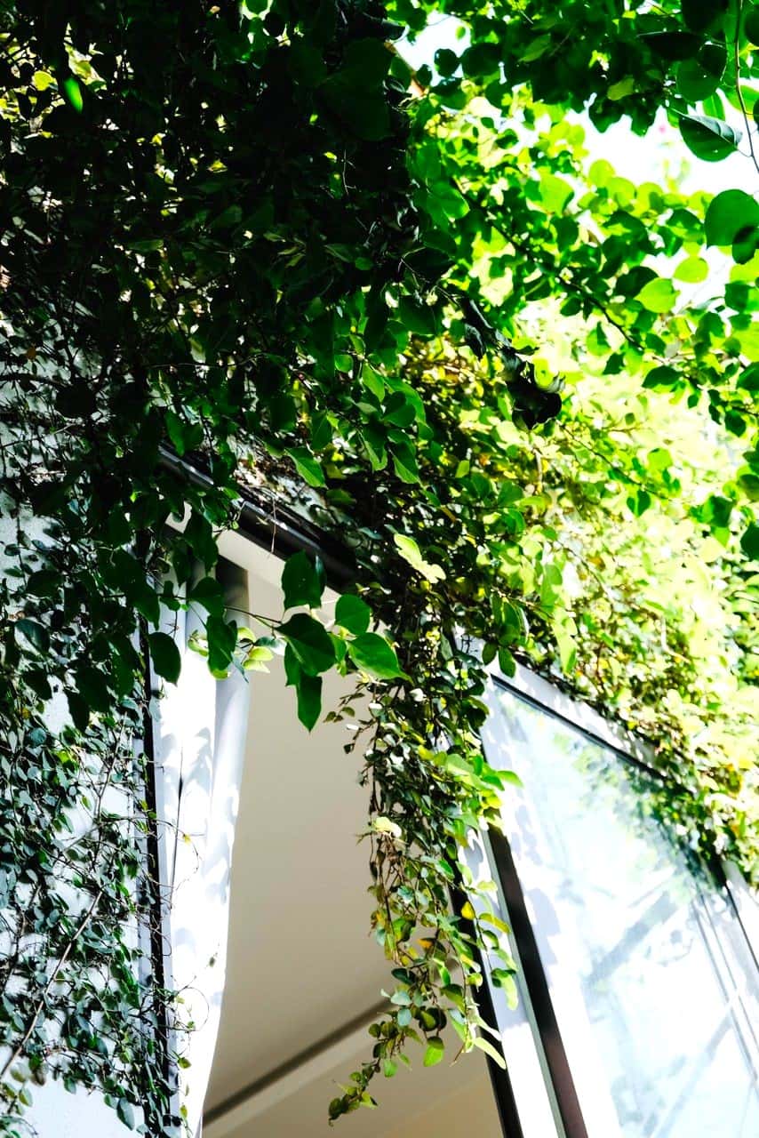 Anne’s House (Maison d’Anne) in Minh Trí, Sóc Sơn — photo 11