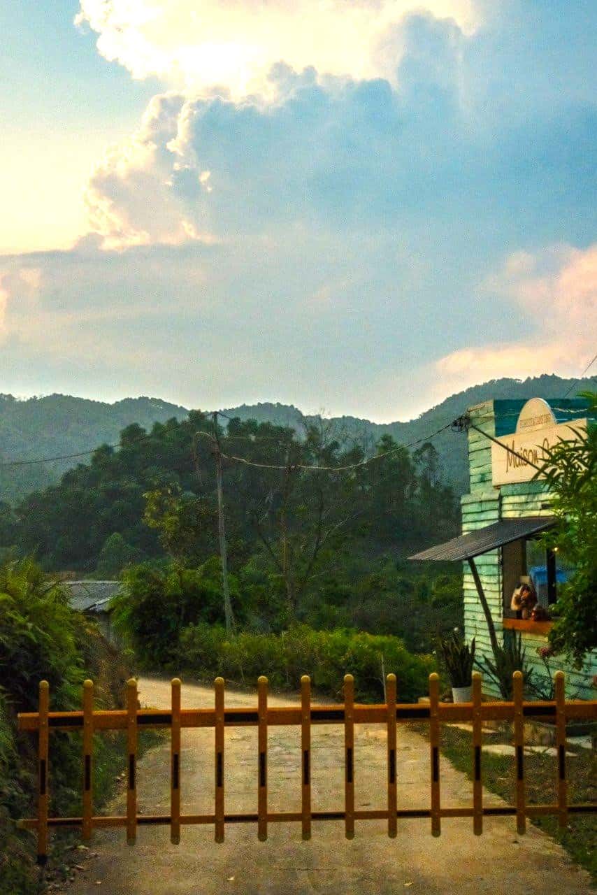 Vẩy Ốc House (Maison in Forest) in Minh Trí, Sóc Sơn — photo 10