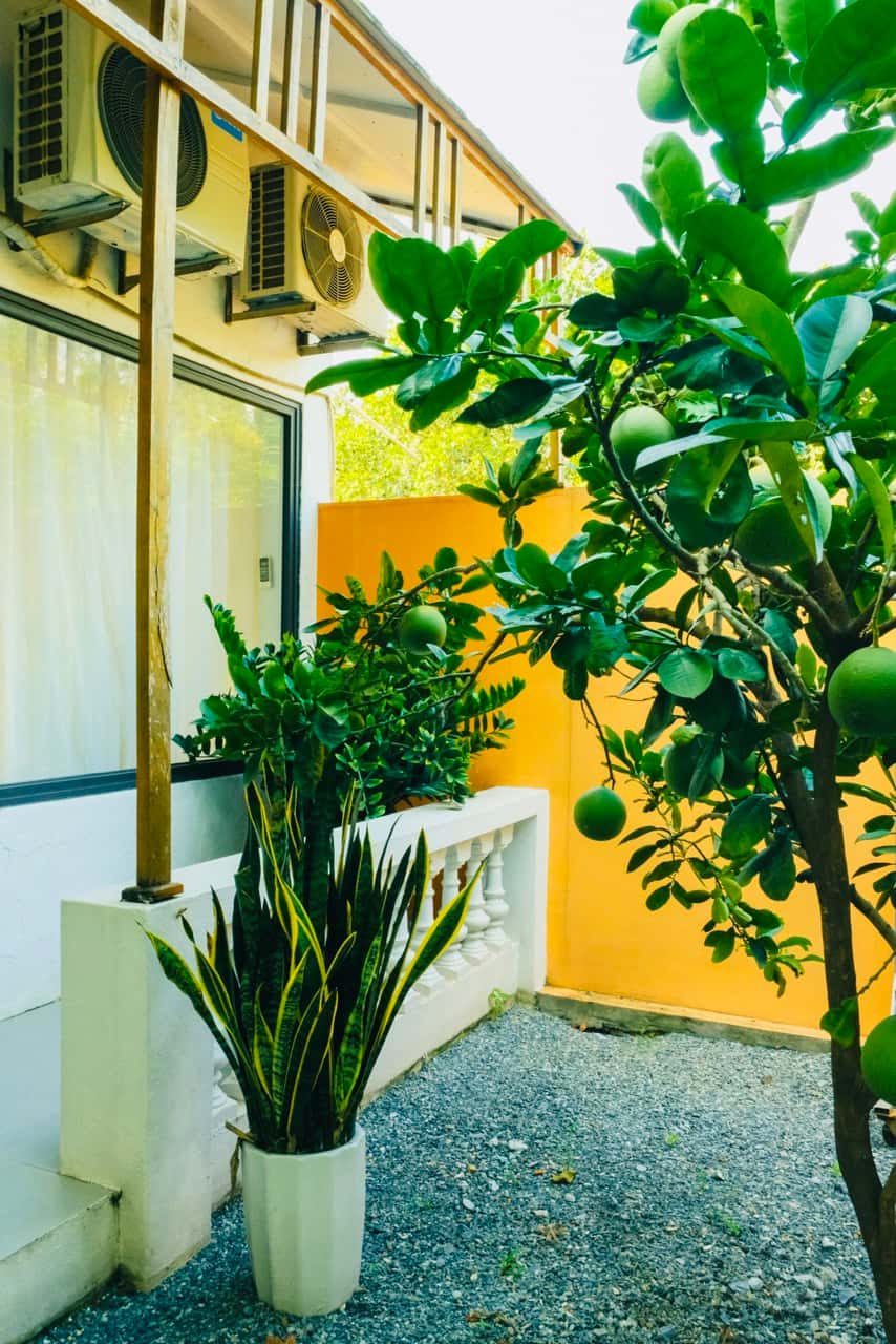Nhà Bali (Maison du Maroc) tại Minh Trí, Sóc Sơn — ảnh 13