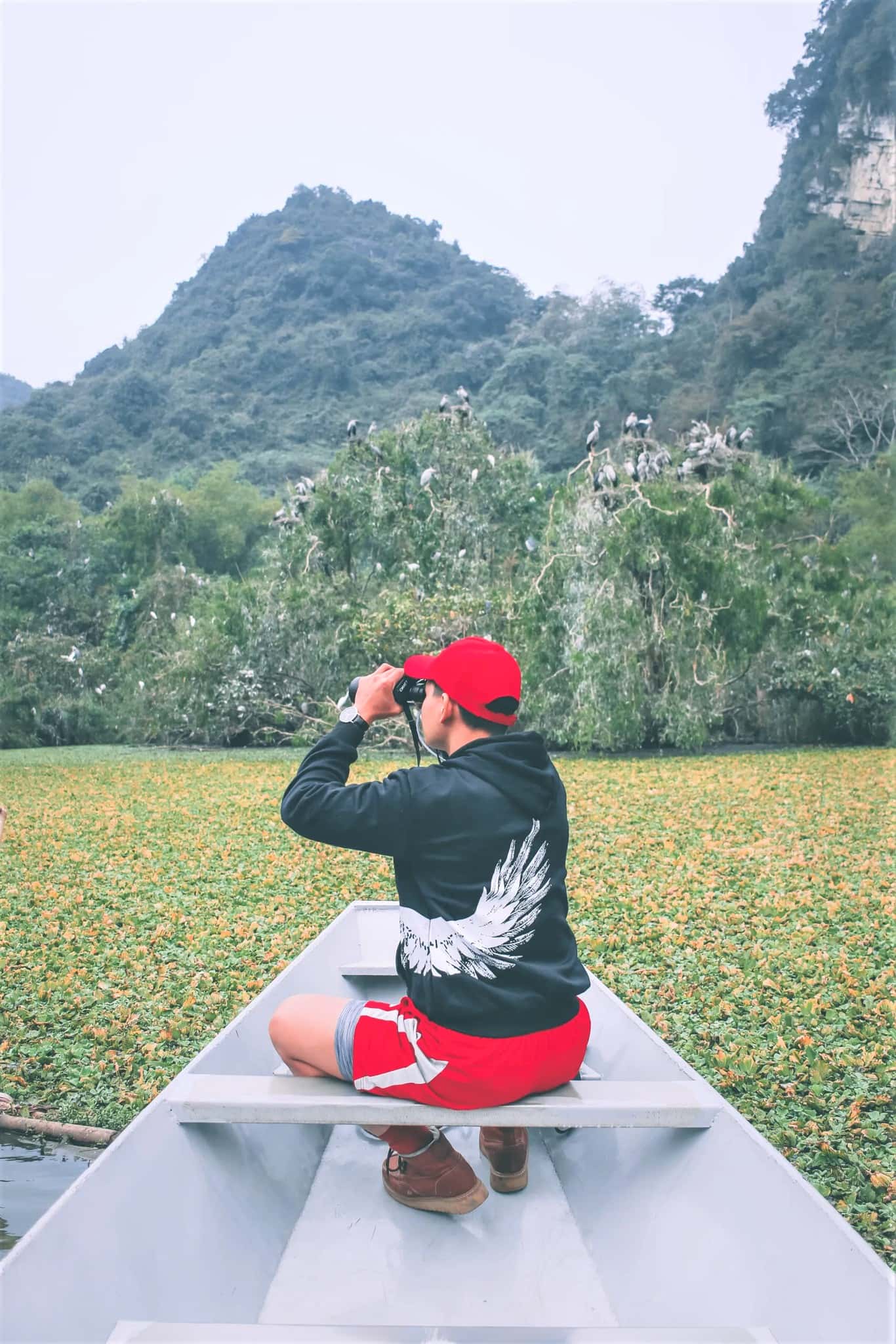 justfly thung nham bird park ninh binh