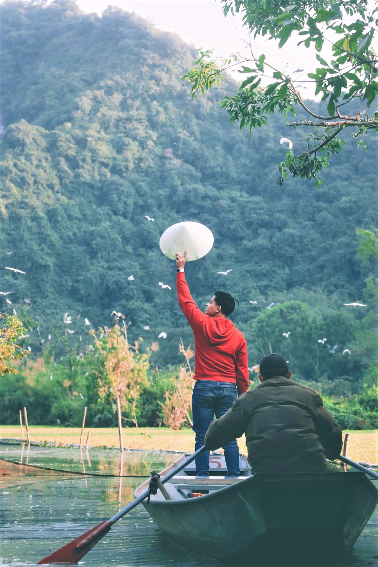 justfly thung nham bird park ninh binh