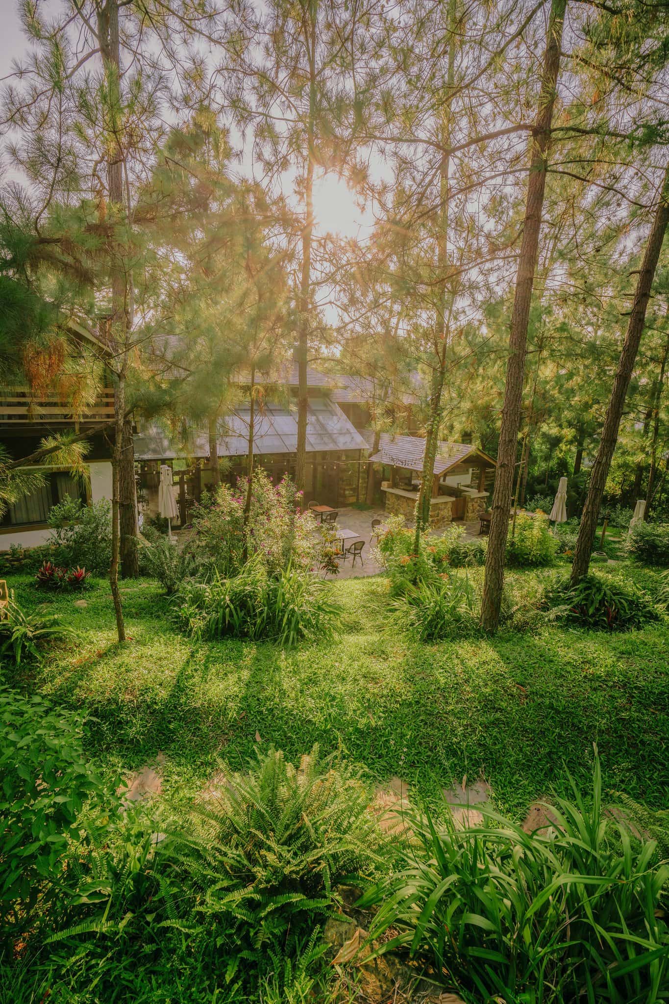 Phòng Flocon (Amaya Home) tại Minh Phú, Sóc Sơn — ảnh 13