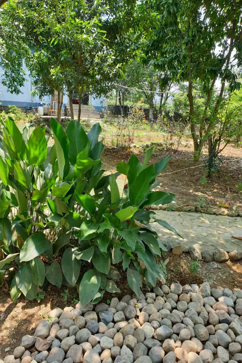 Lâm Villa in Lương Sơn, Hòa Bình — photo 15