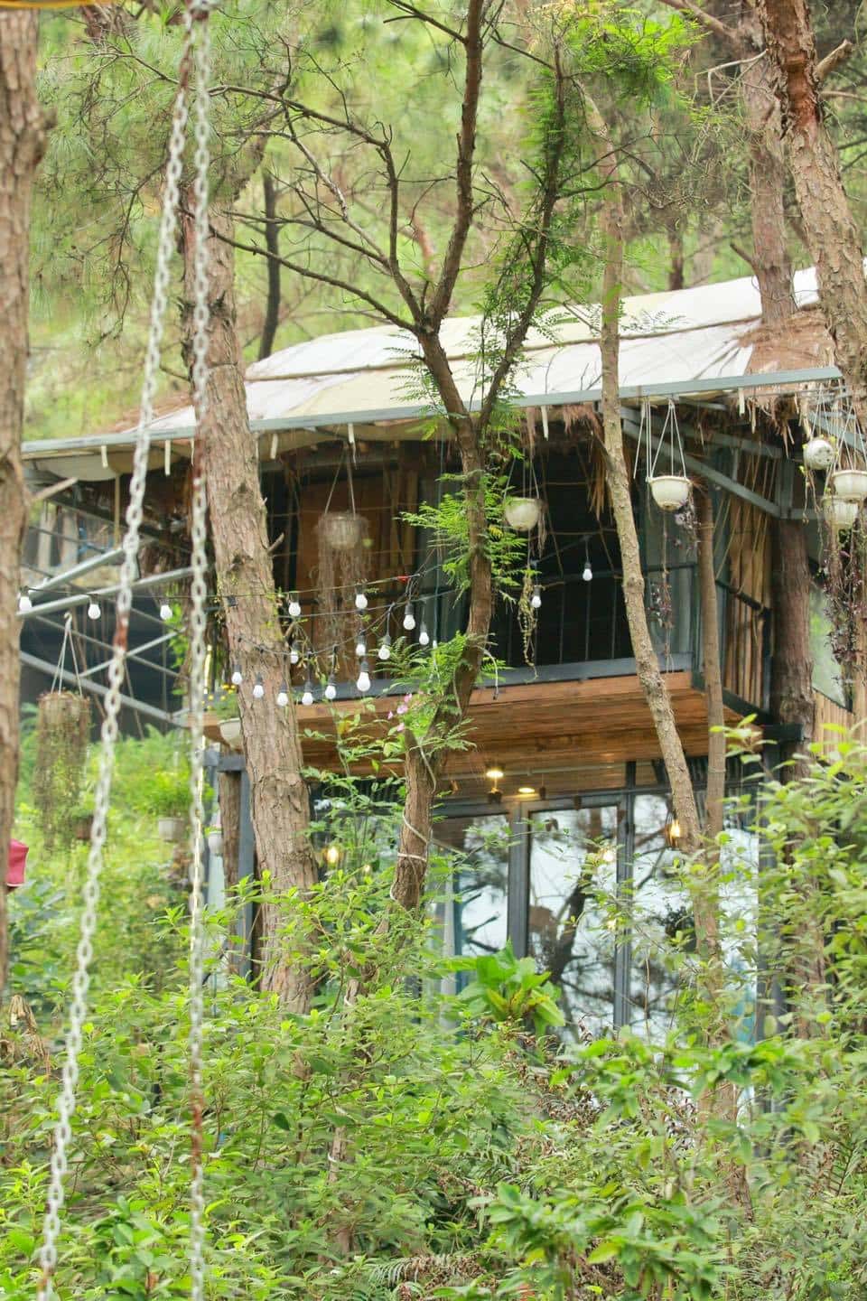 Pine Tree House - Ánh Trăng, Sóc Sơn () — photo 1