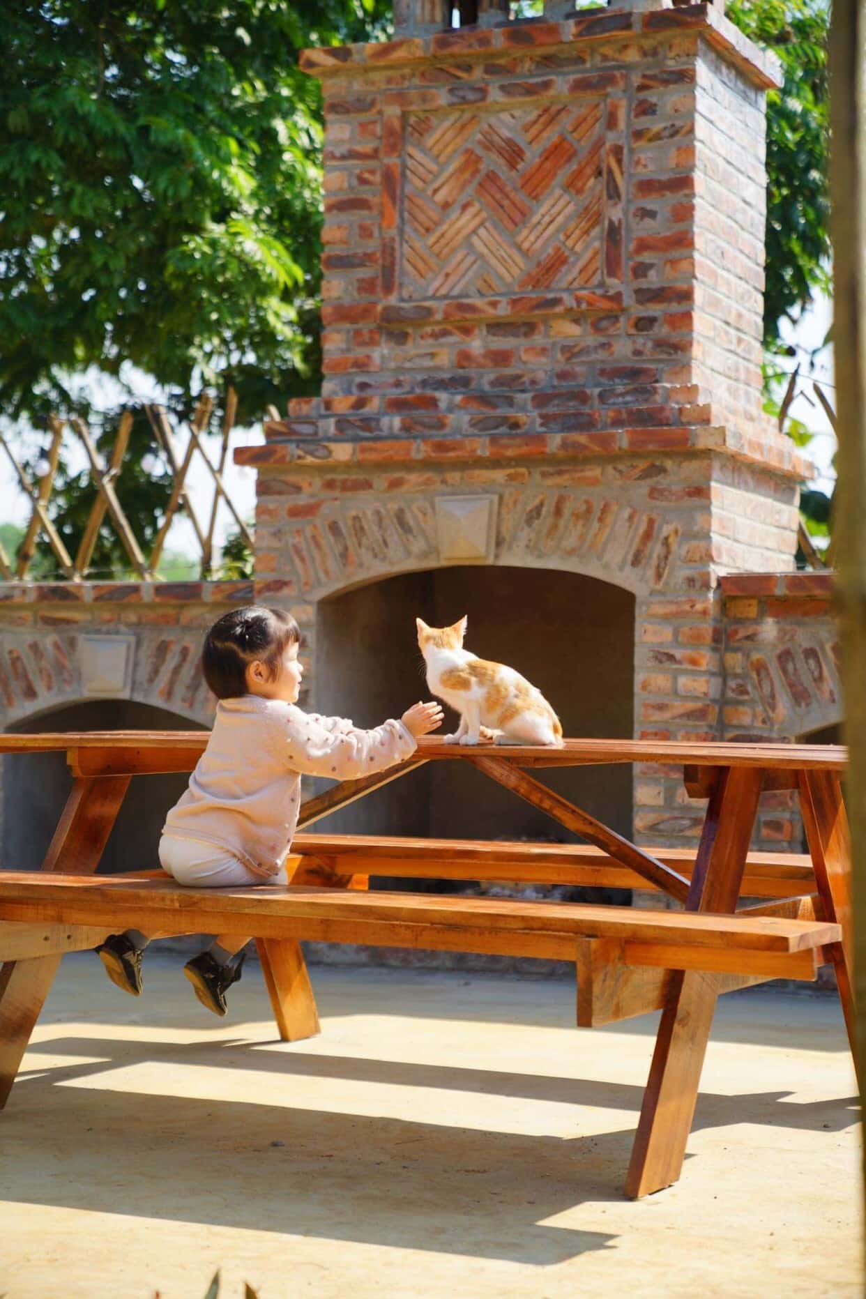 Ba Vì Tree House () — ảnh 11