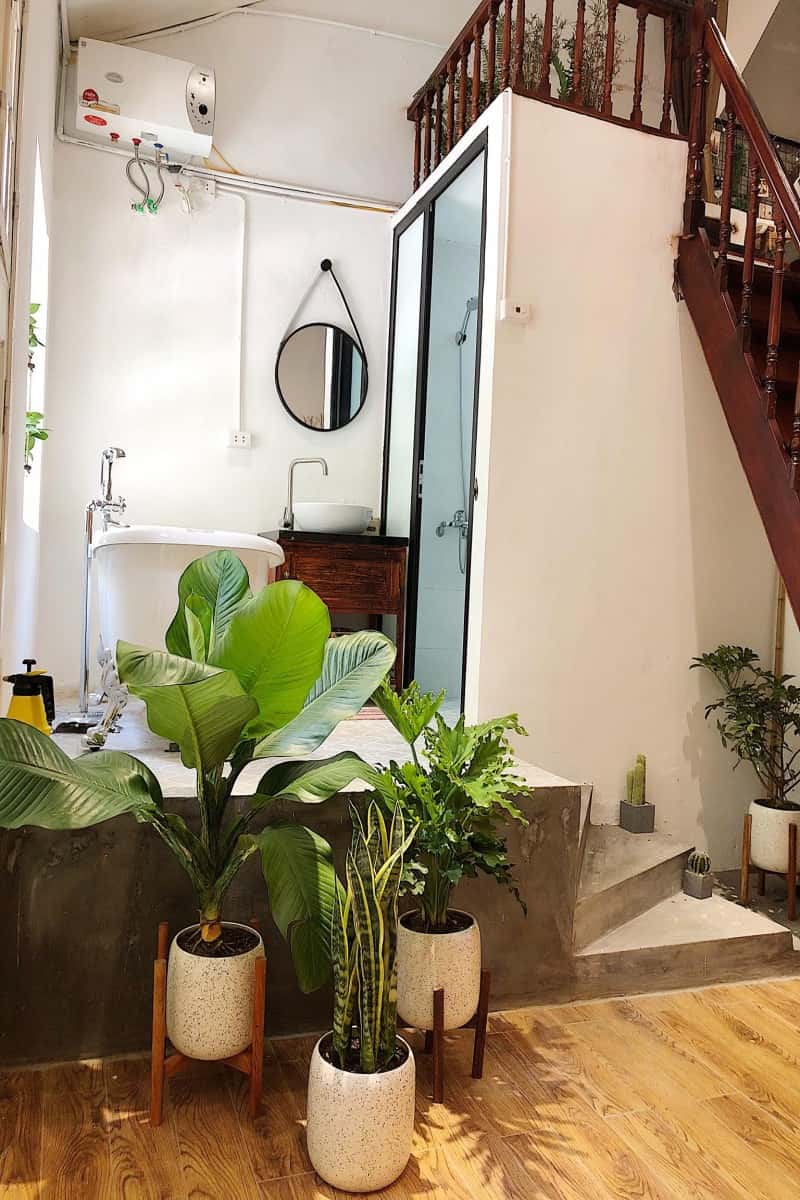 Pura Vida, Hoàn Kiếm — photo 16