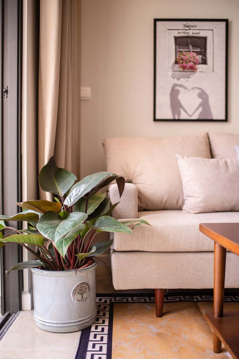 Troy House 4001, Cầu Giấy — 照片 9