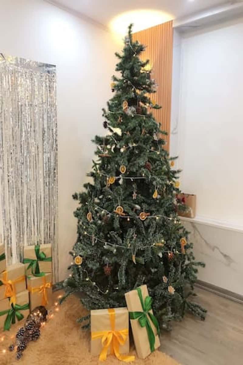 Complesso, Tây Hồ — ảnh 18