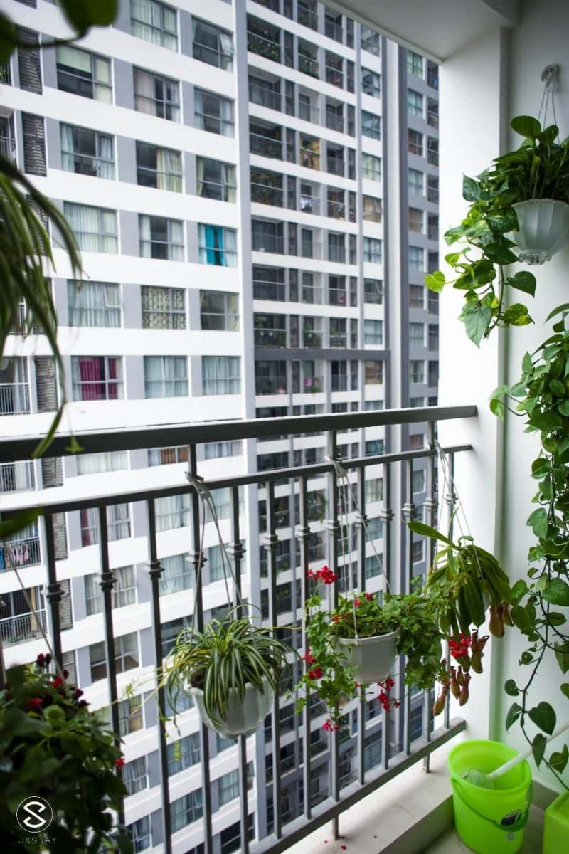 Justfly Tropicana No2 Hoàng Mai () — photo 22
