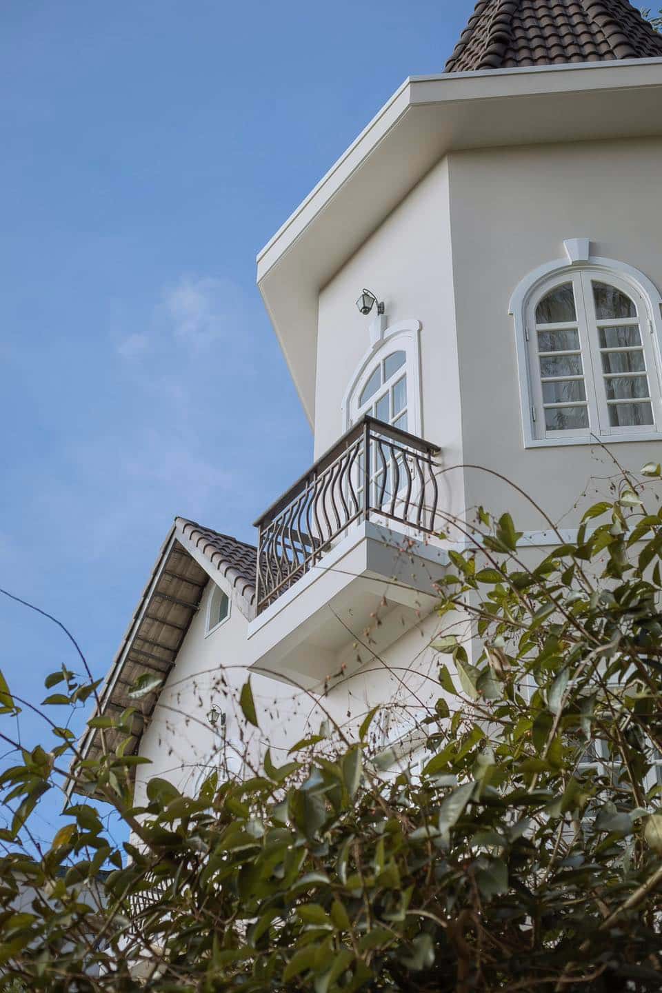 Bạch Đàn Trắng，大叻 — 照片 9