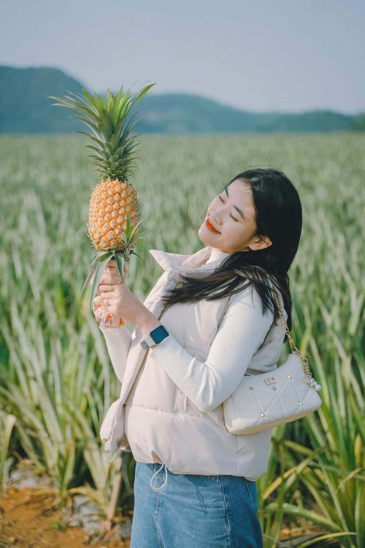 宁平Tam Hiệp菠萝丘 — 照片 19
