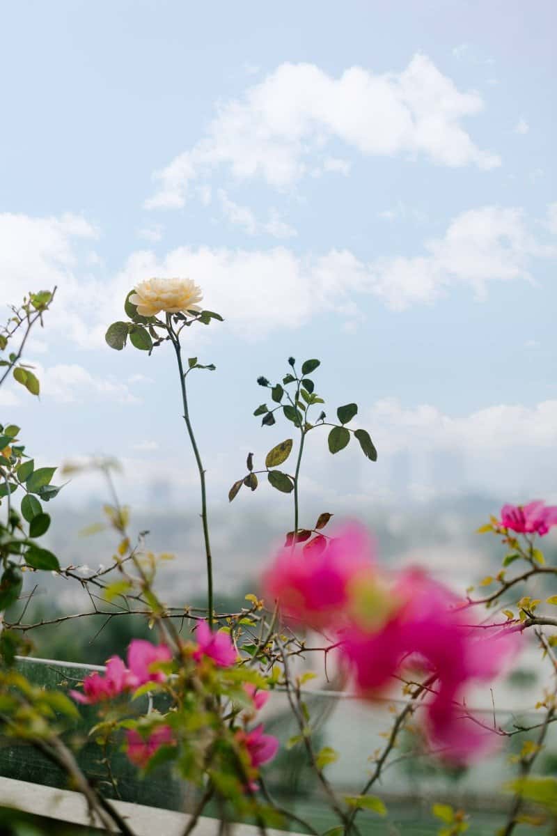Sora Apartment - KatHome In Town (View Hồ), Tây Hồ — ảnh 18