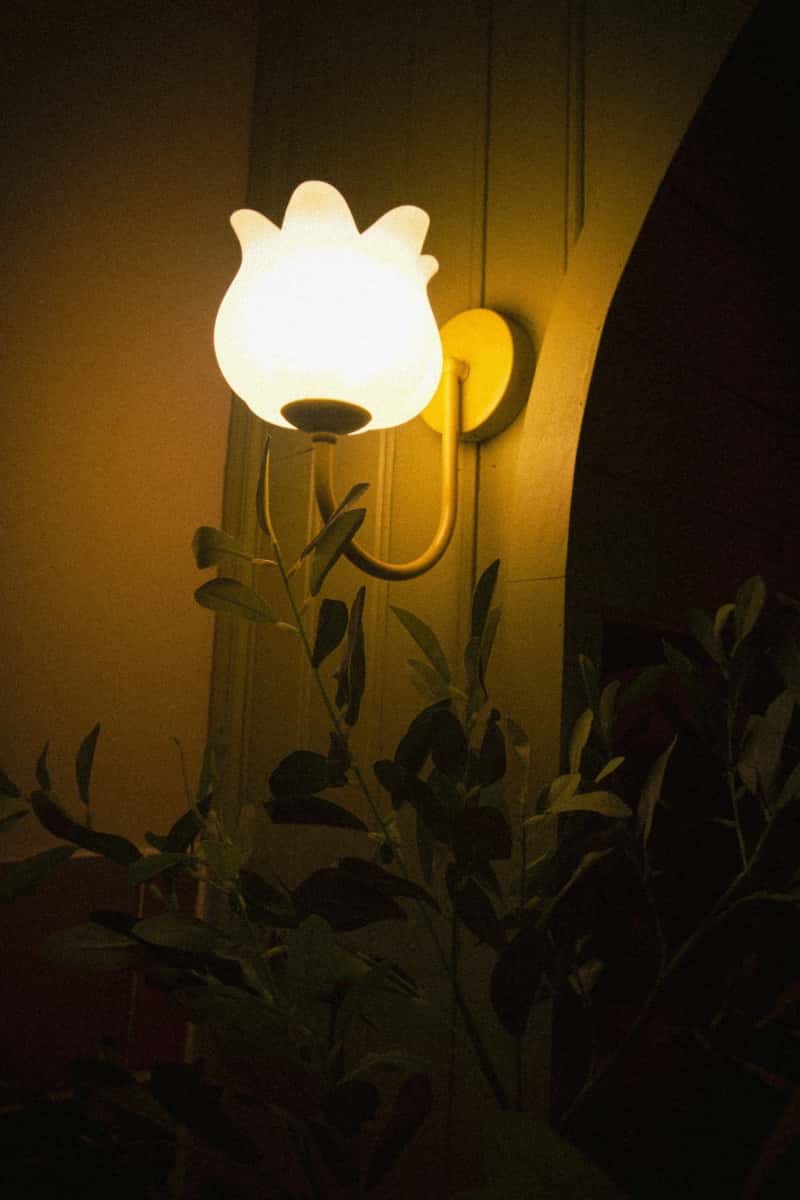 Jardin - Lii's Homestay, Tây Hồ — photo 12