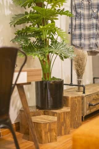 Villa 06 - Veque Homestay Hà Hồi, Hoàn Kiếm — ảnh 12