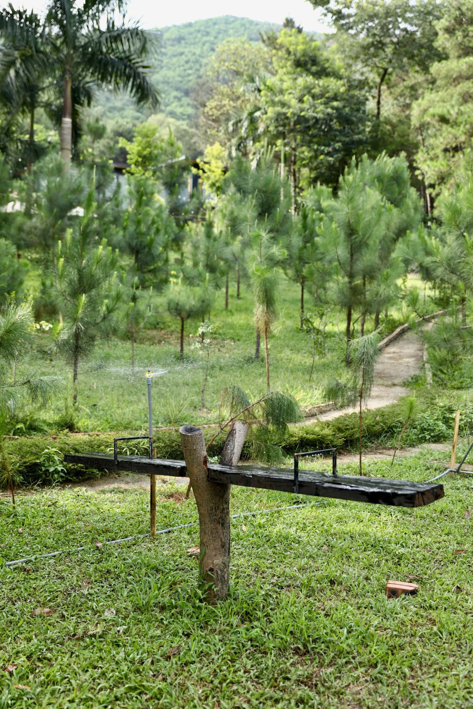 Trekking 