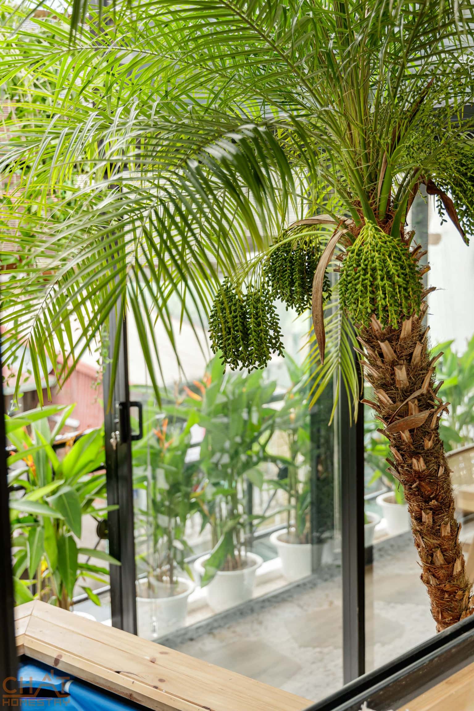 29CL5 (Hidden Gem 5) - Chất Homestay, Ba Đình — ảnh 32