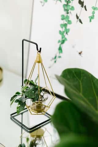 Sazi - Xanh rêu, Hoàn Kiếm — ảnh 18