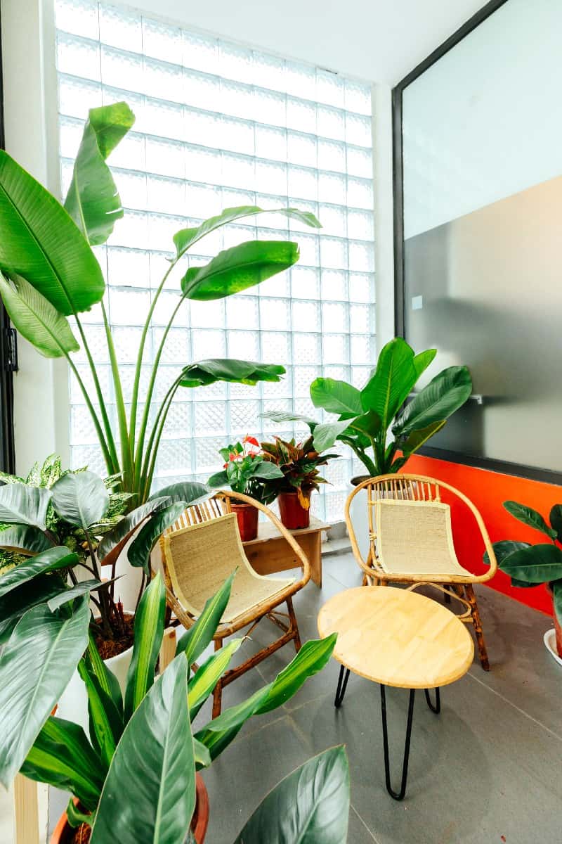 Sazi - Boho, Tây Hồ — ảnh 15