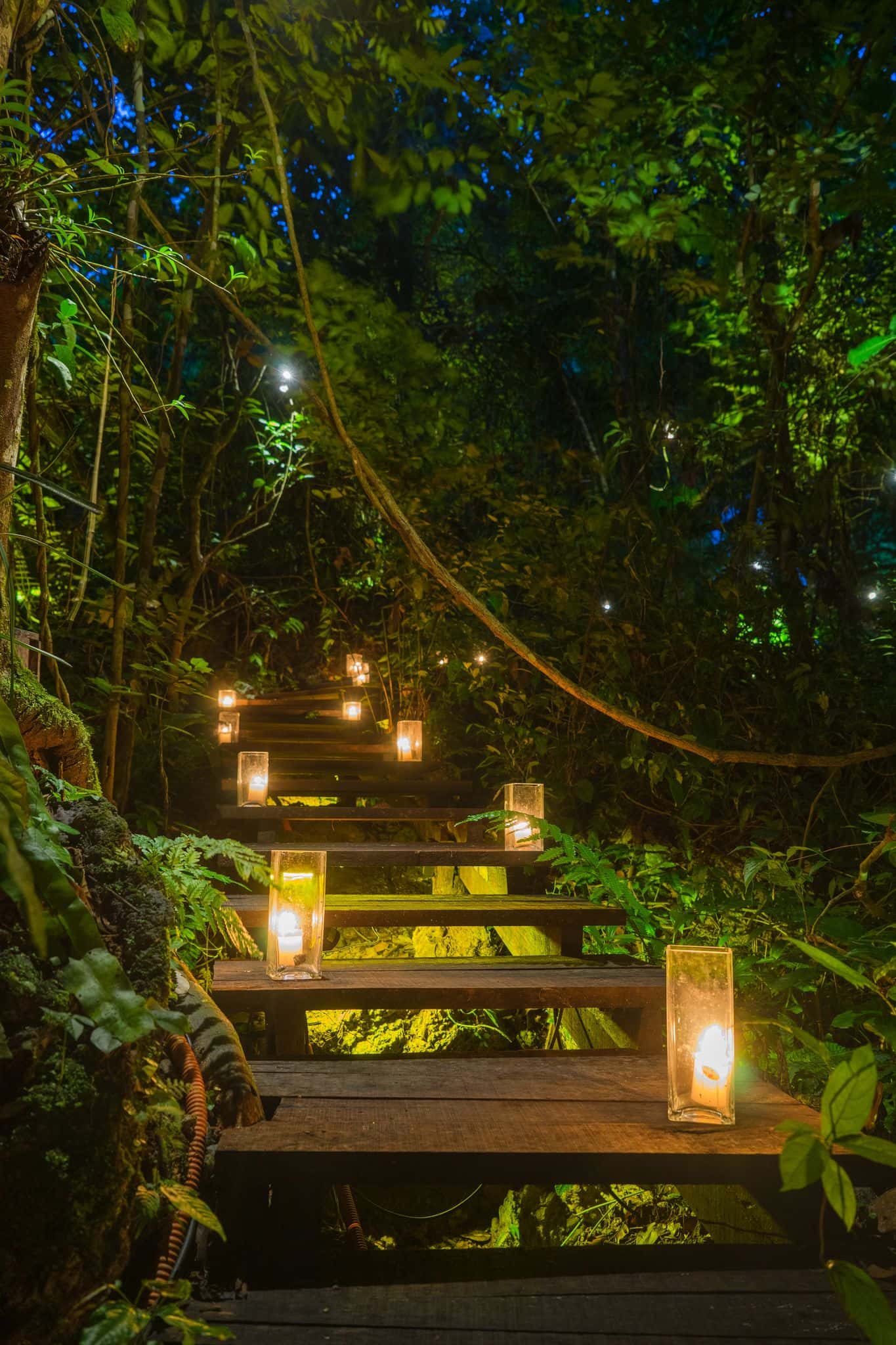 Bauhinia Moutain Suite (Avana Retreat) tại Mai Châu, Hòa Bình — ảnh 19