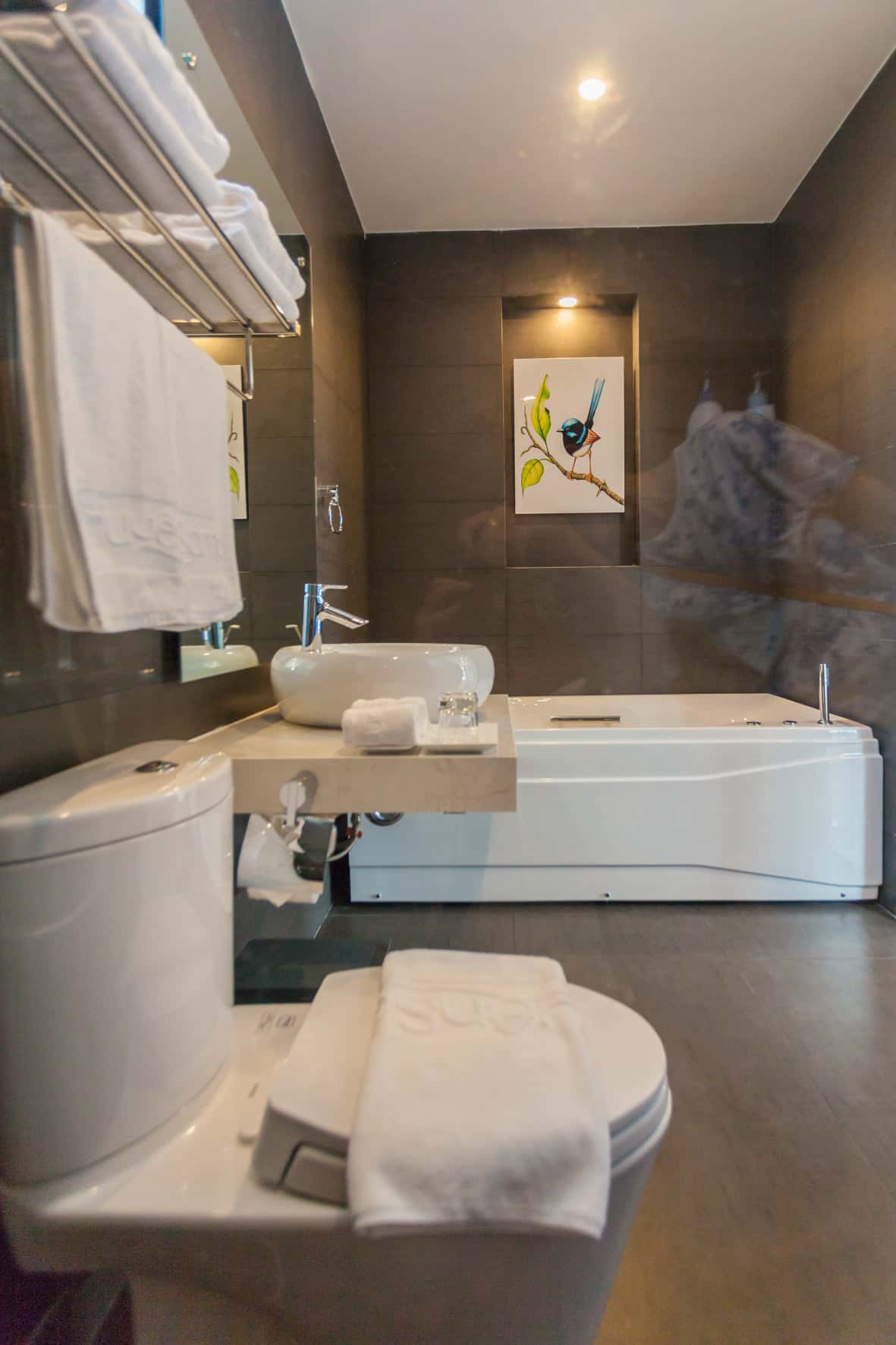 phong tam huyen sam b22 villa vung tau