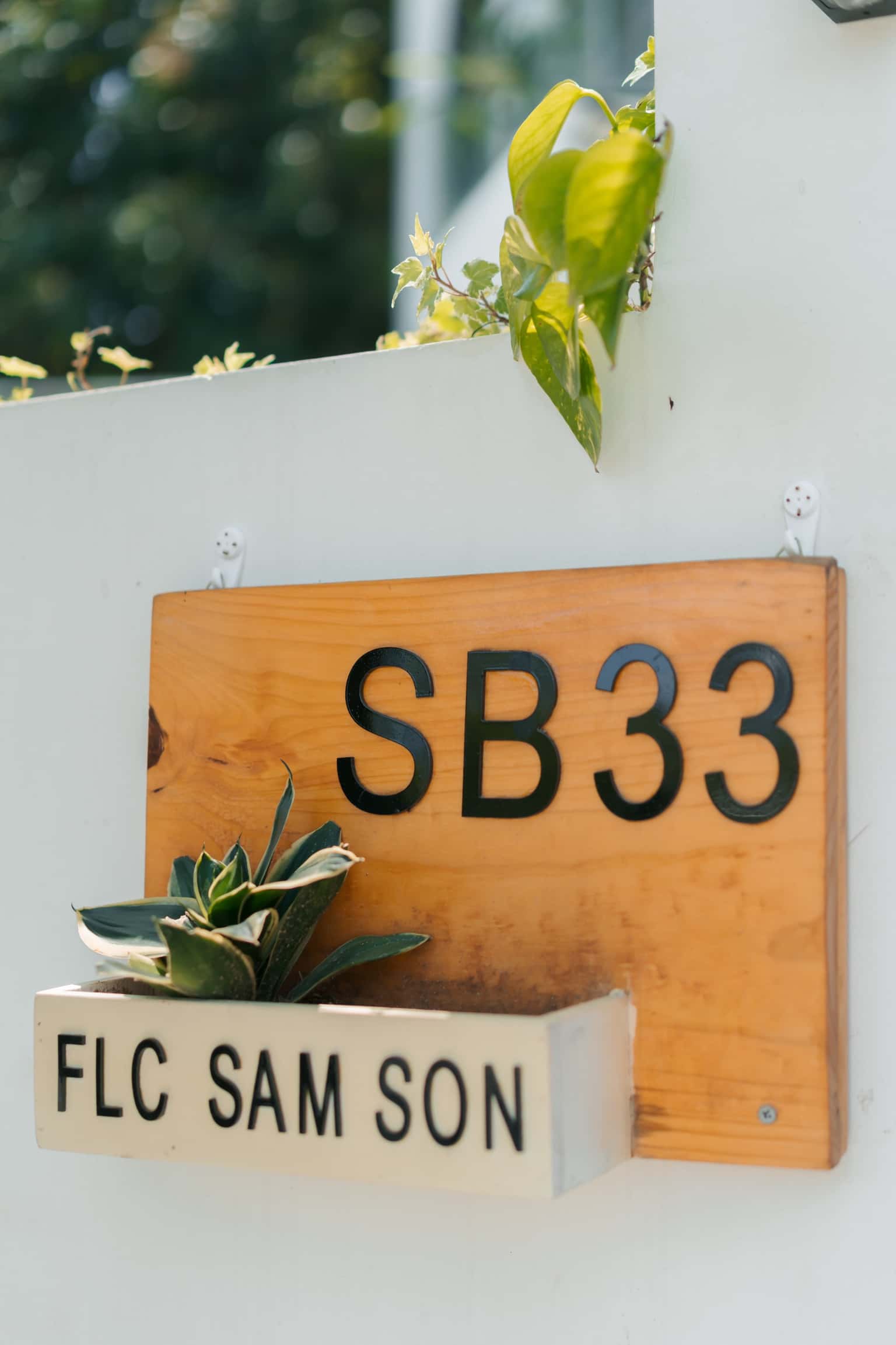 SB33, FLC Sầm Sơn — ảnh 9