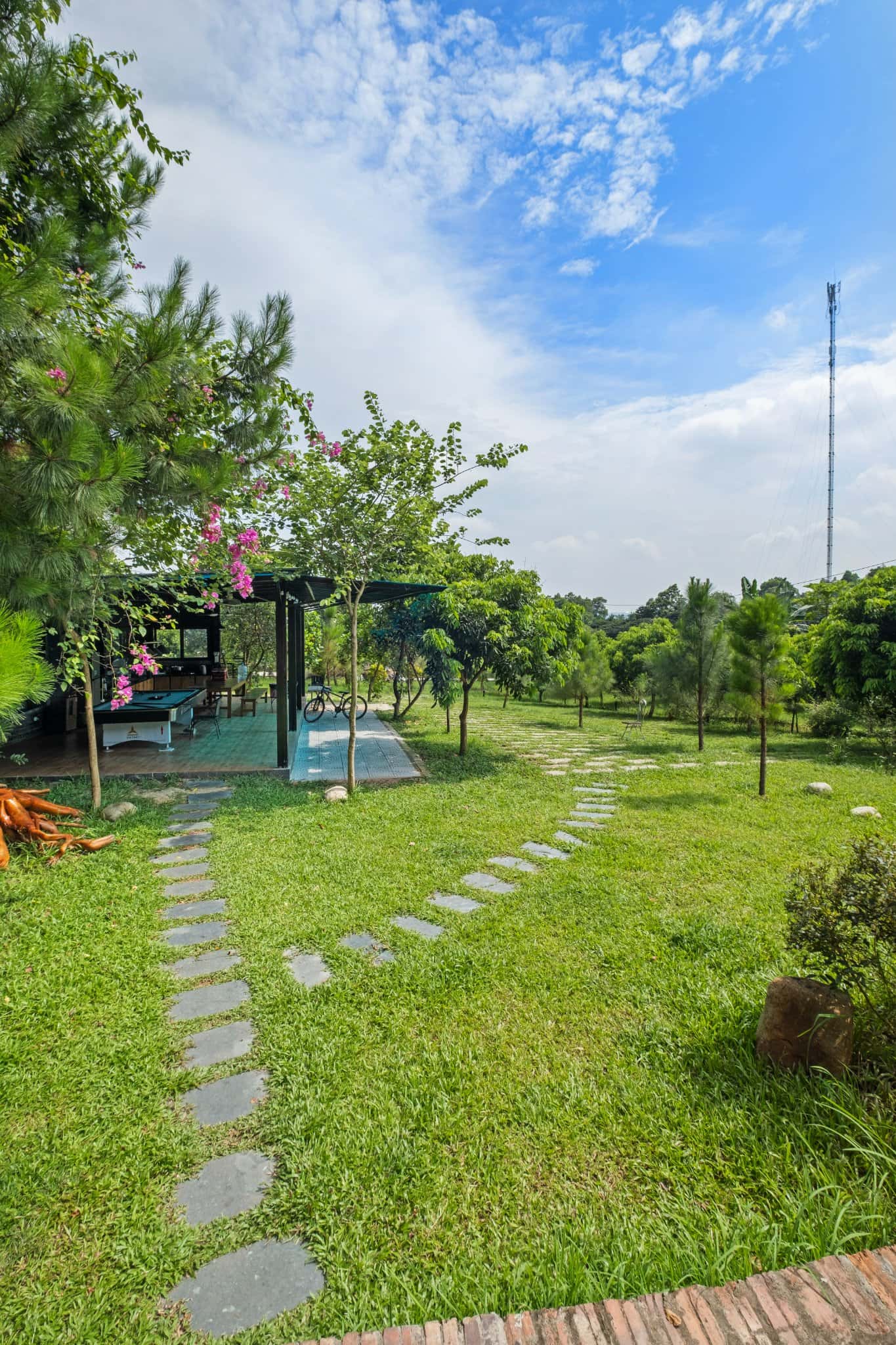 Pine Garden 2 tại Minh Phú, Sóc Sơn — ảnh 3