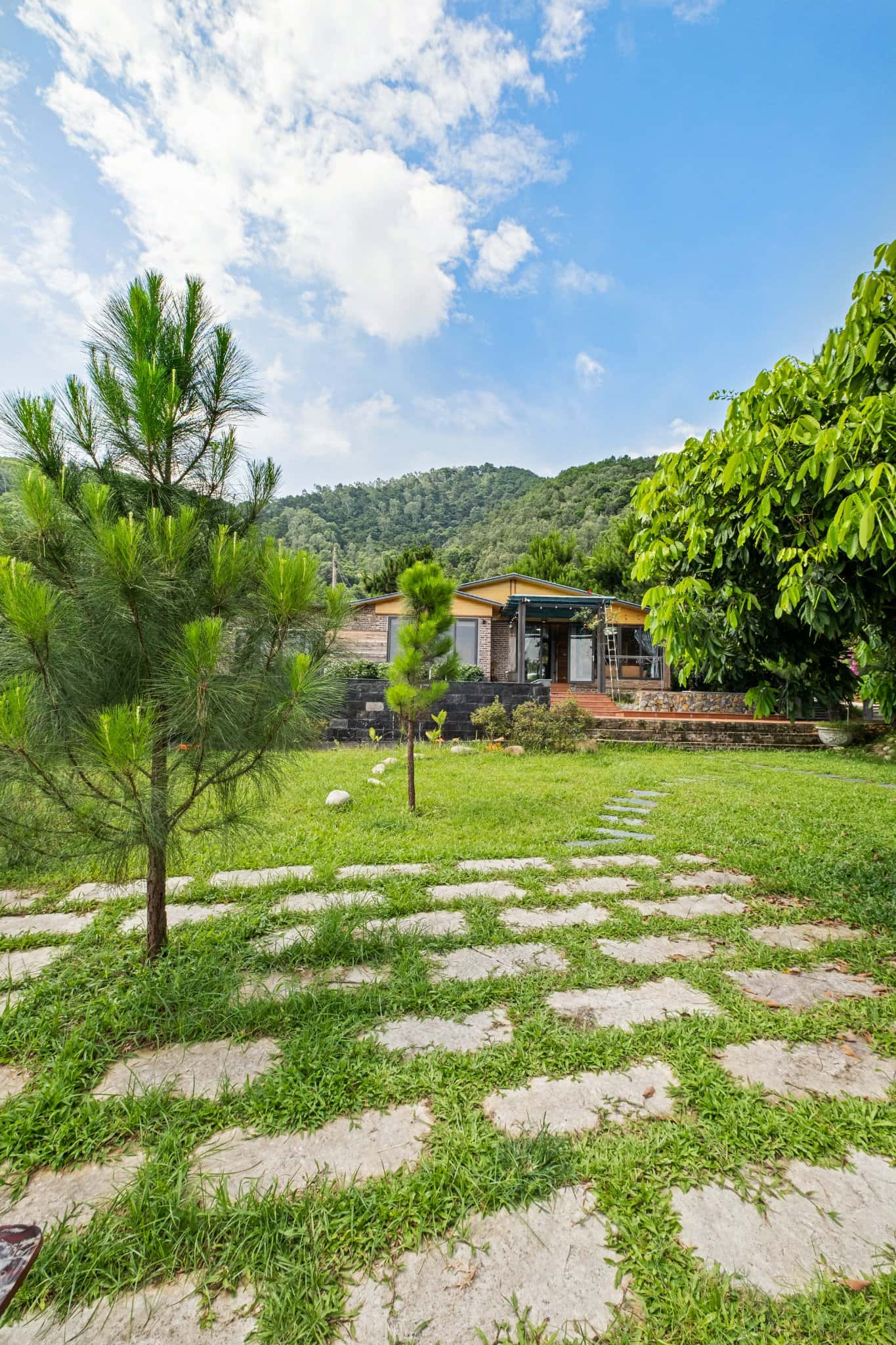 Pine Garden 2 tại Minh Phú, Sóc Sơn — ảnh 8