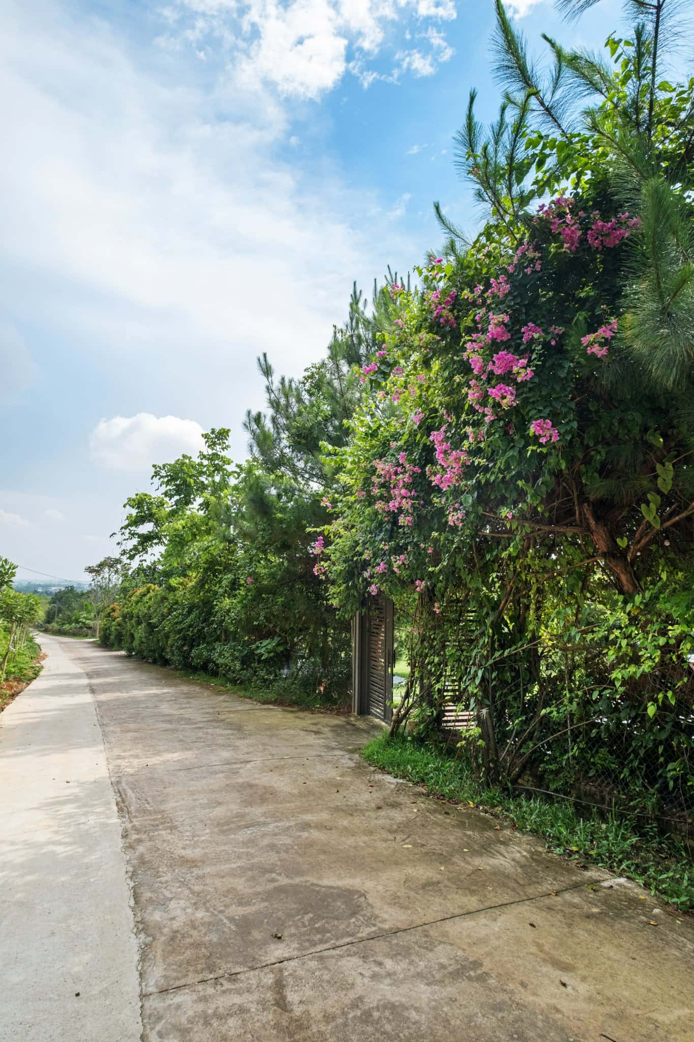 Pine Garden 2 tại Minh Phú, Sóc Sơn — ảnh 2