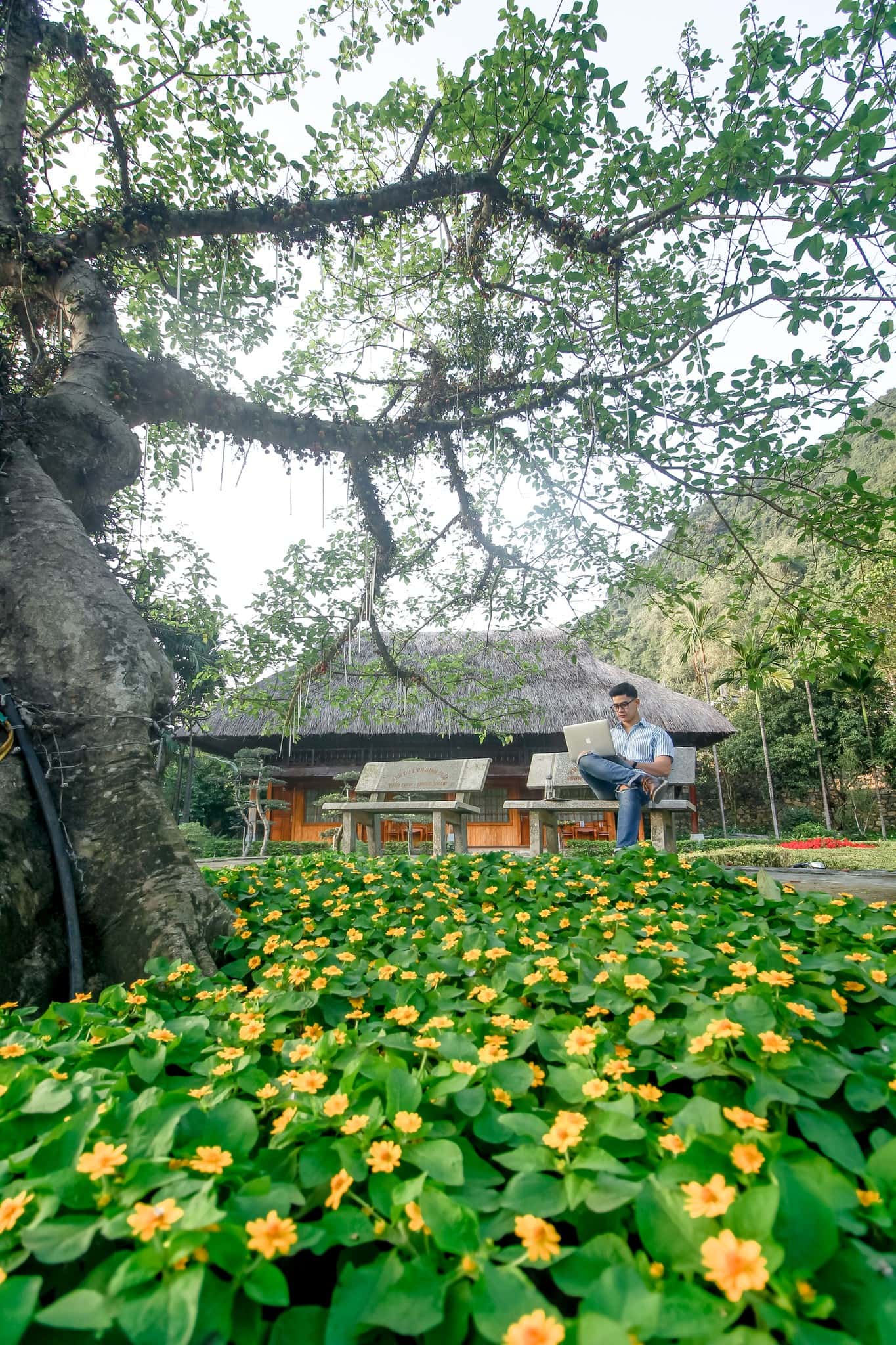 justfly thung nham resort ninh binh
