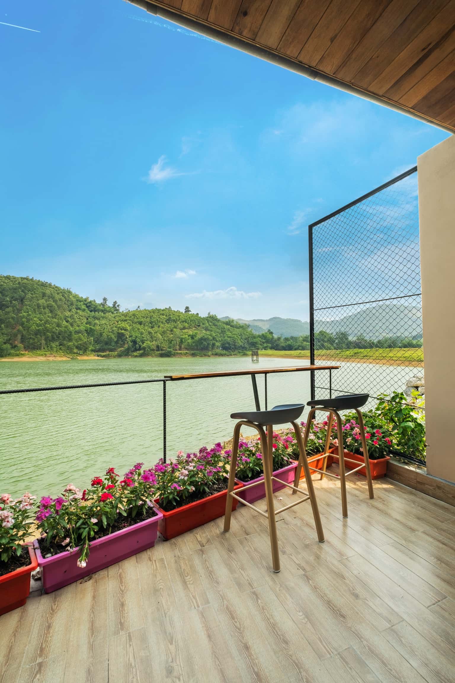 justfly hoa sau gieng hoa binh 