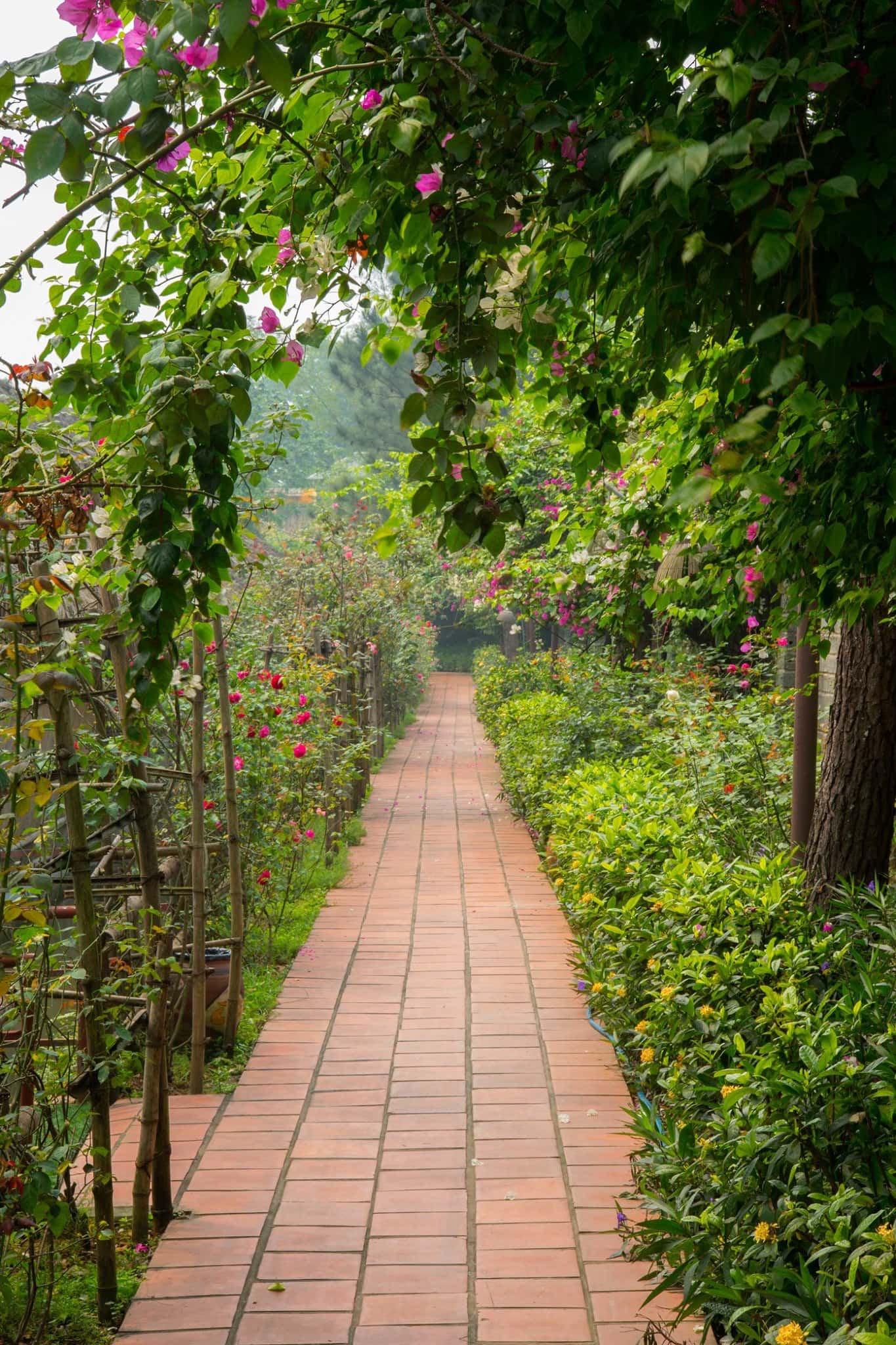 justfly khuon vien thao vien resort