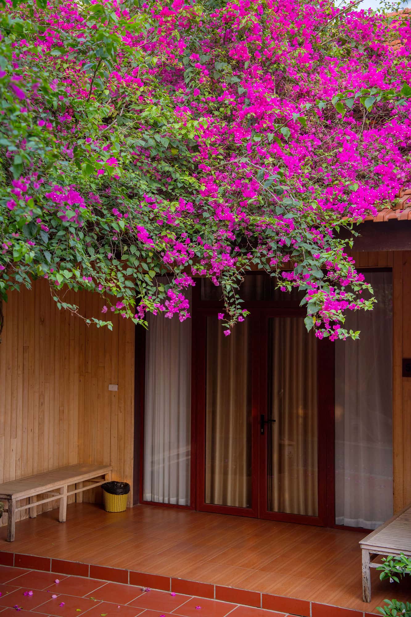 justfly pho nho thao vien resort