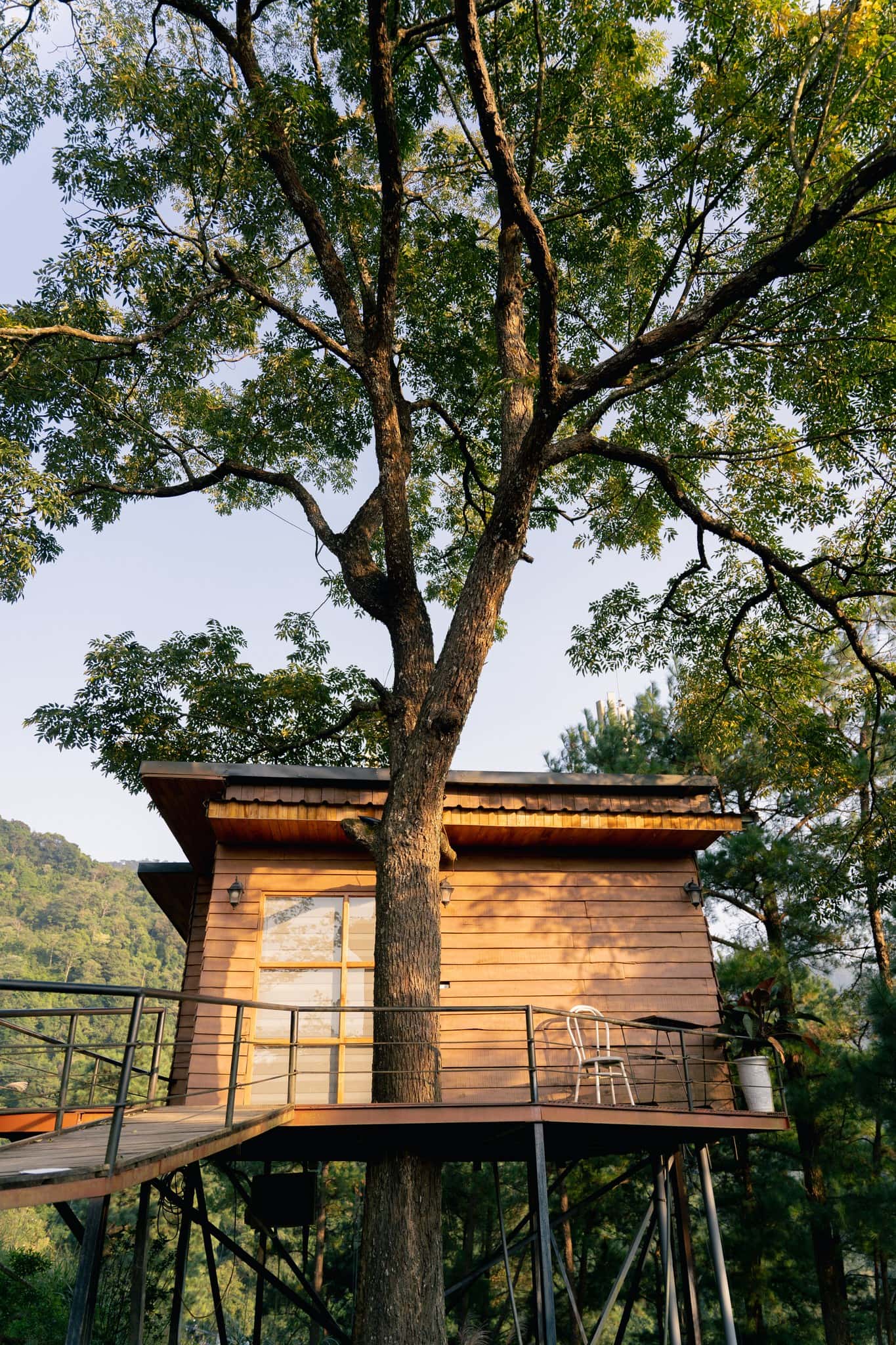tree-house-chillout-village-tam-dao