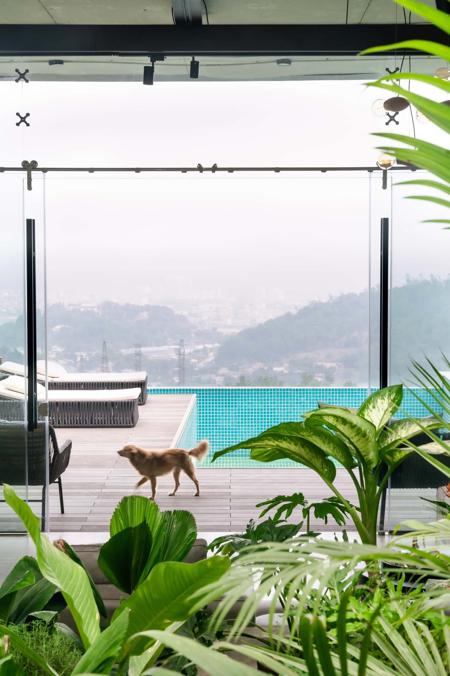 ann villa hoa binh