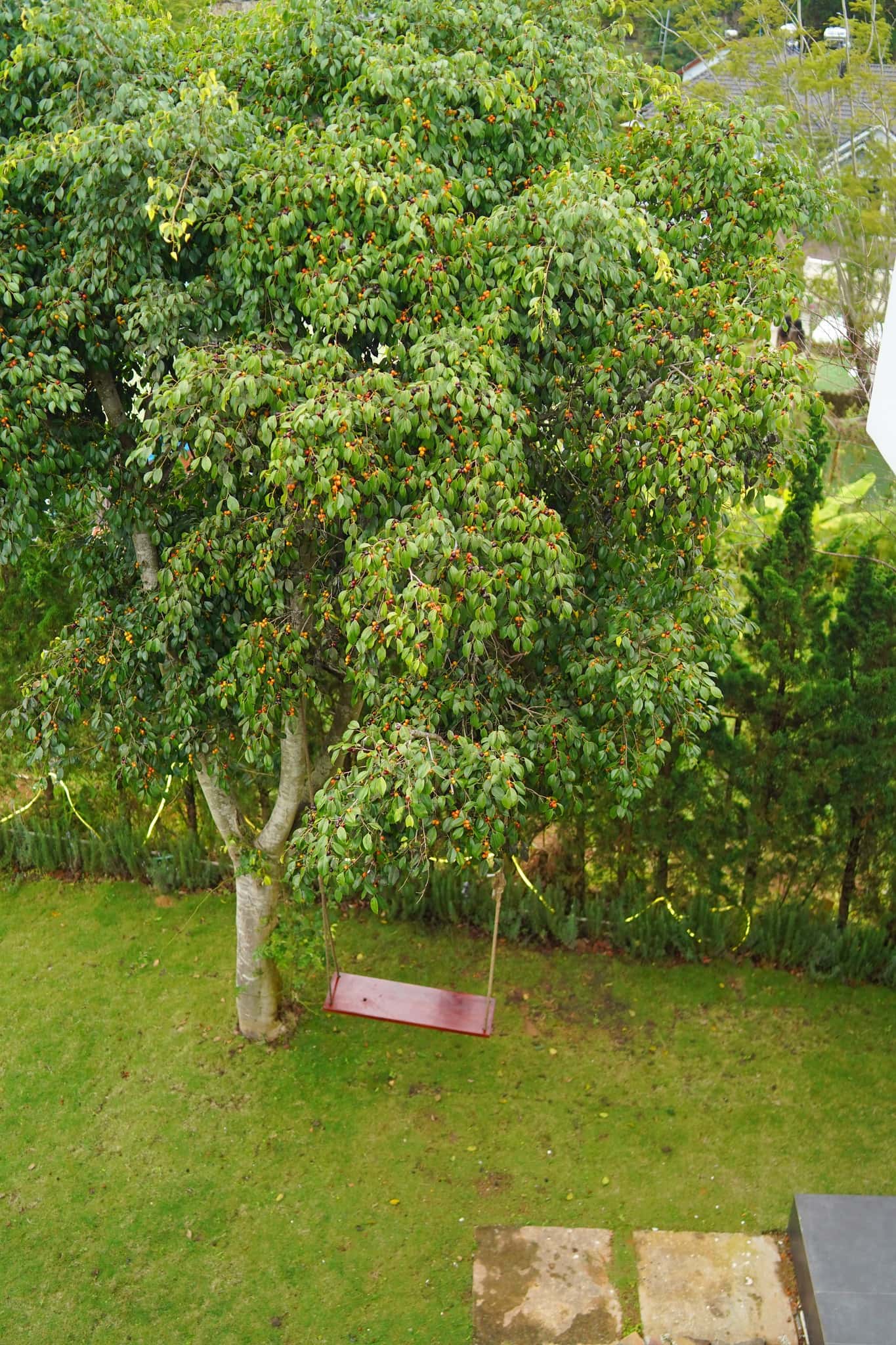 Scenery Villa 2, Đà Lạt — ảnh 14