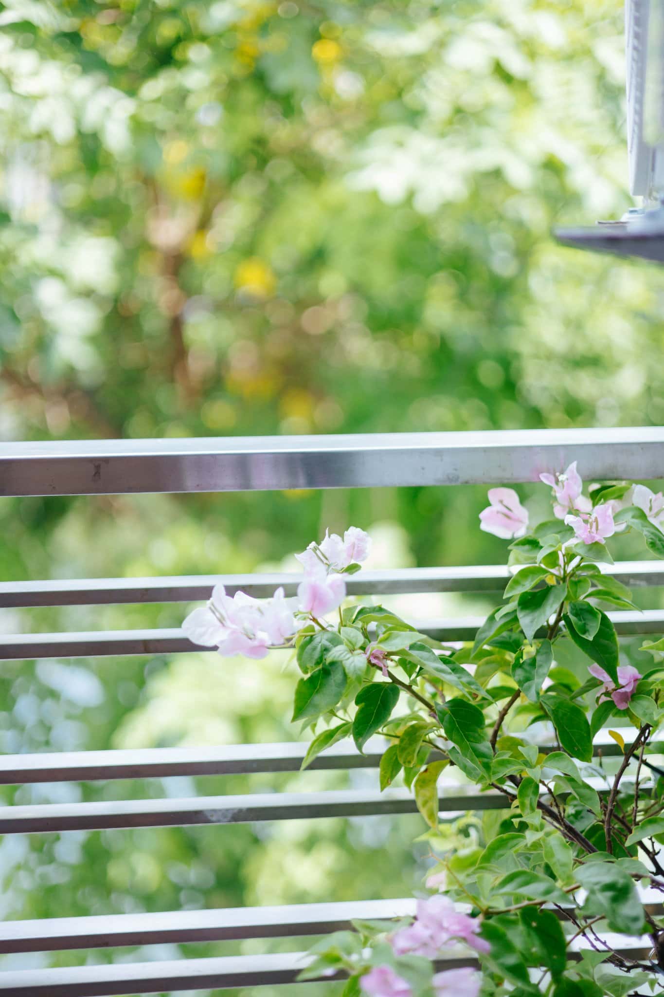 Yura Apartment - KatHome In Town - View Hồ Tây — ảnh 12