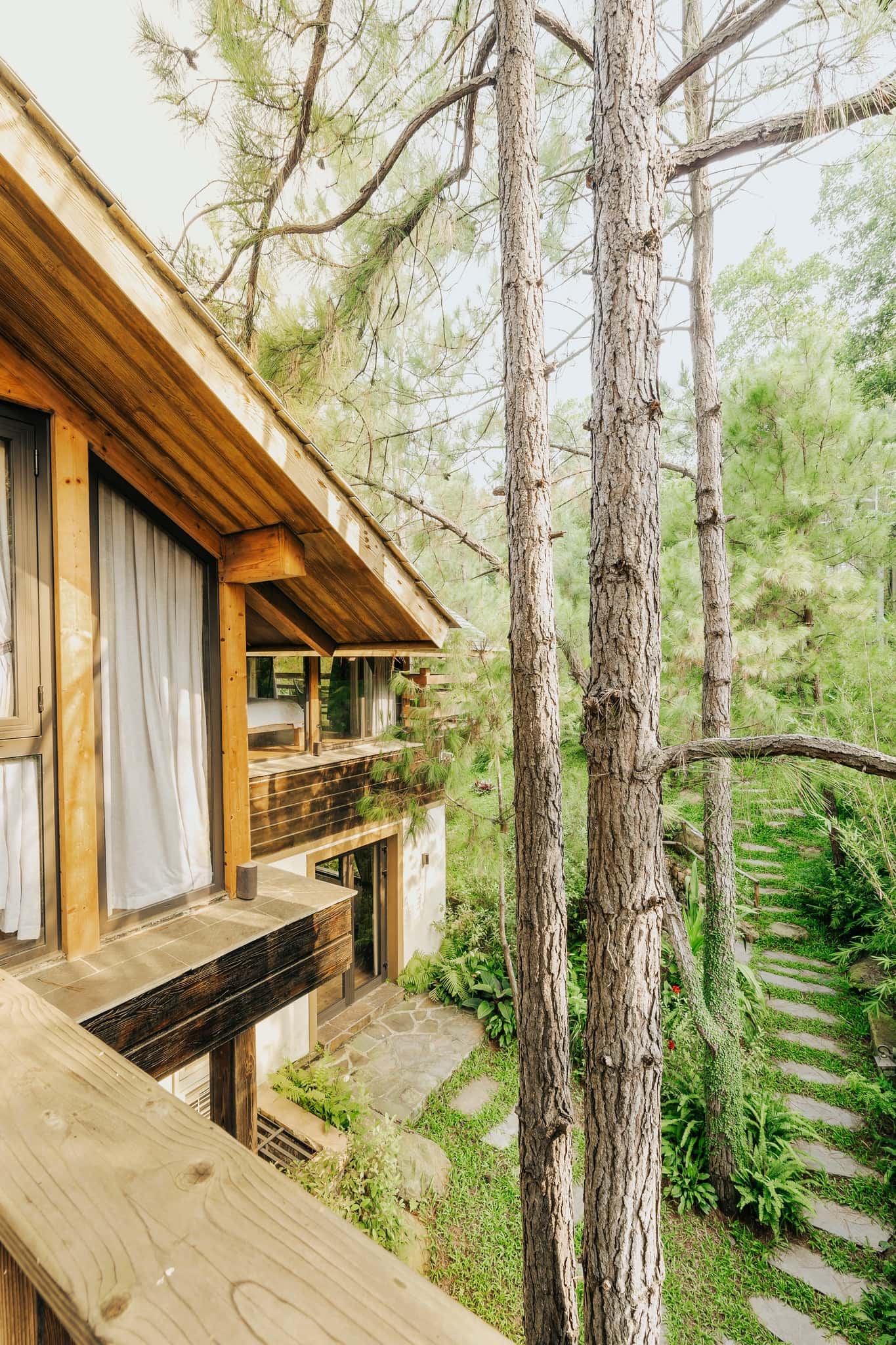 Phòng Birdnest (Amaya Home) tại Minh Phú, Sóc Sơn — ảnh 2